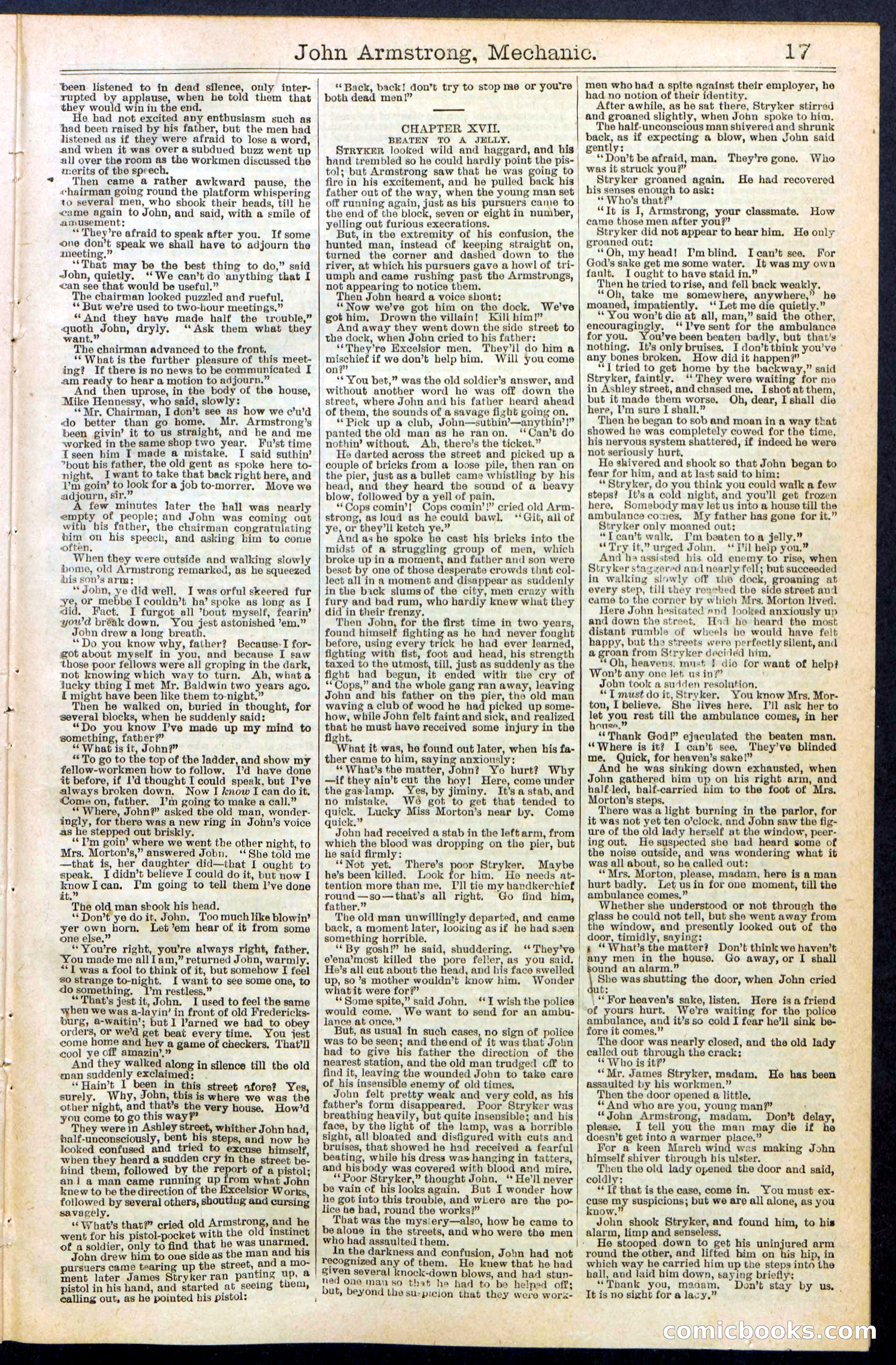 Beadle's New York Dime Library, No. 378 — page 17 of 32