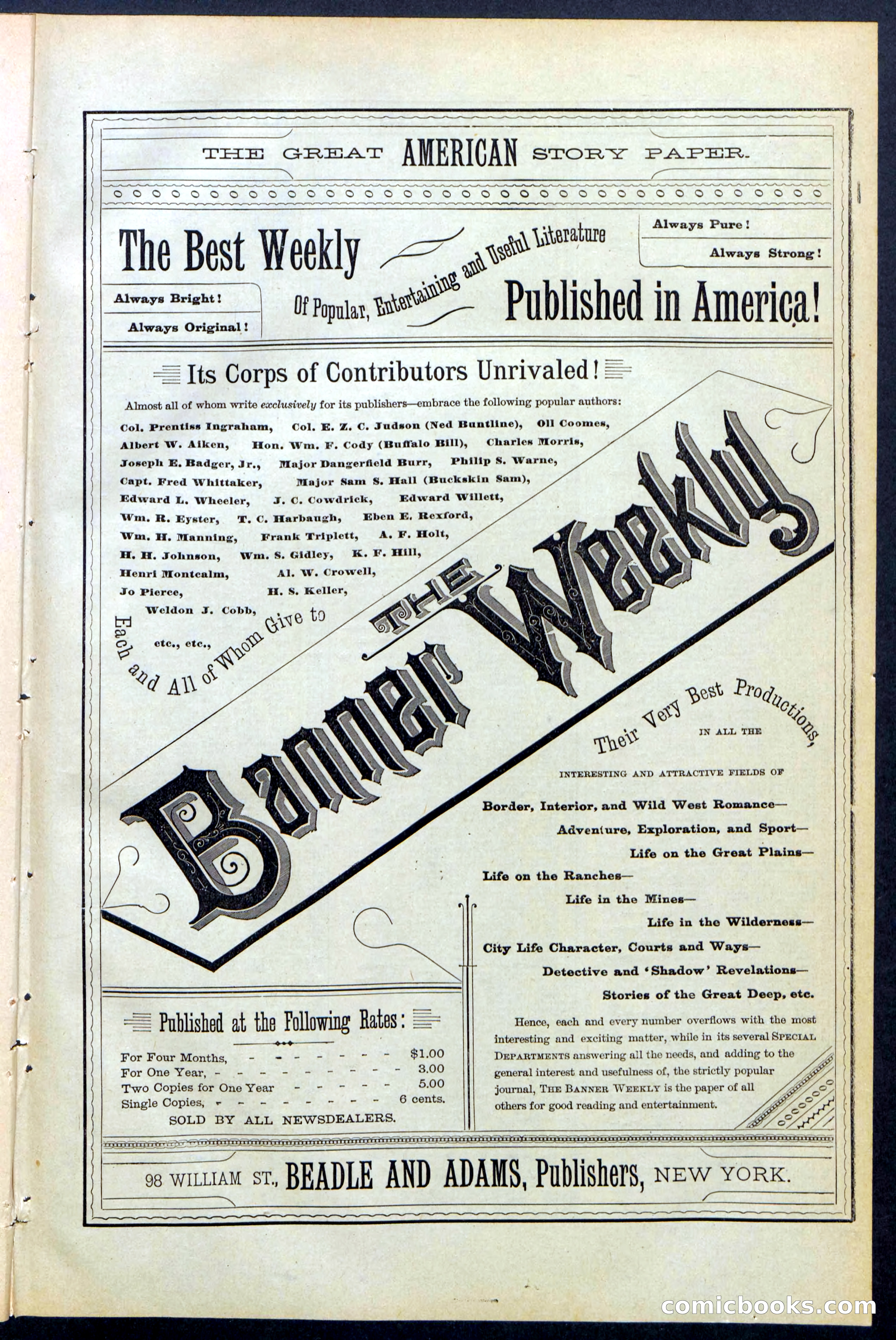 Beadle's New York Dime Library, No. 378 — page 29 of 32