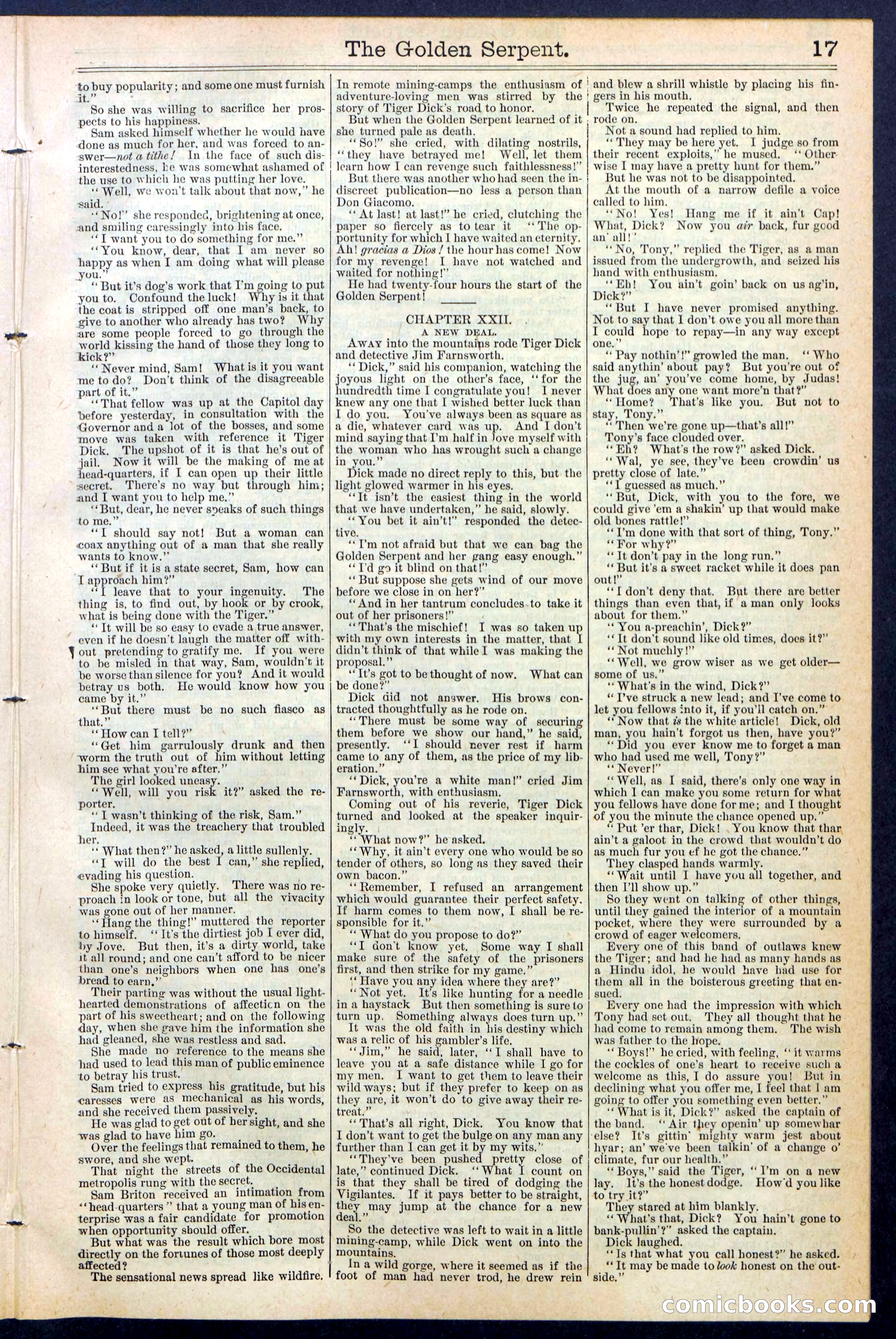 Beadle's New York Dime Library No. 380 — page 17 of 32