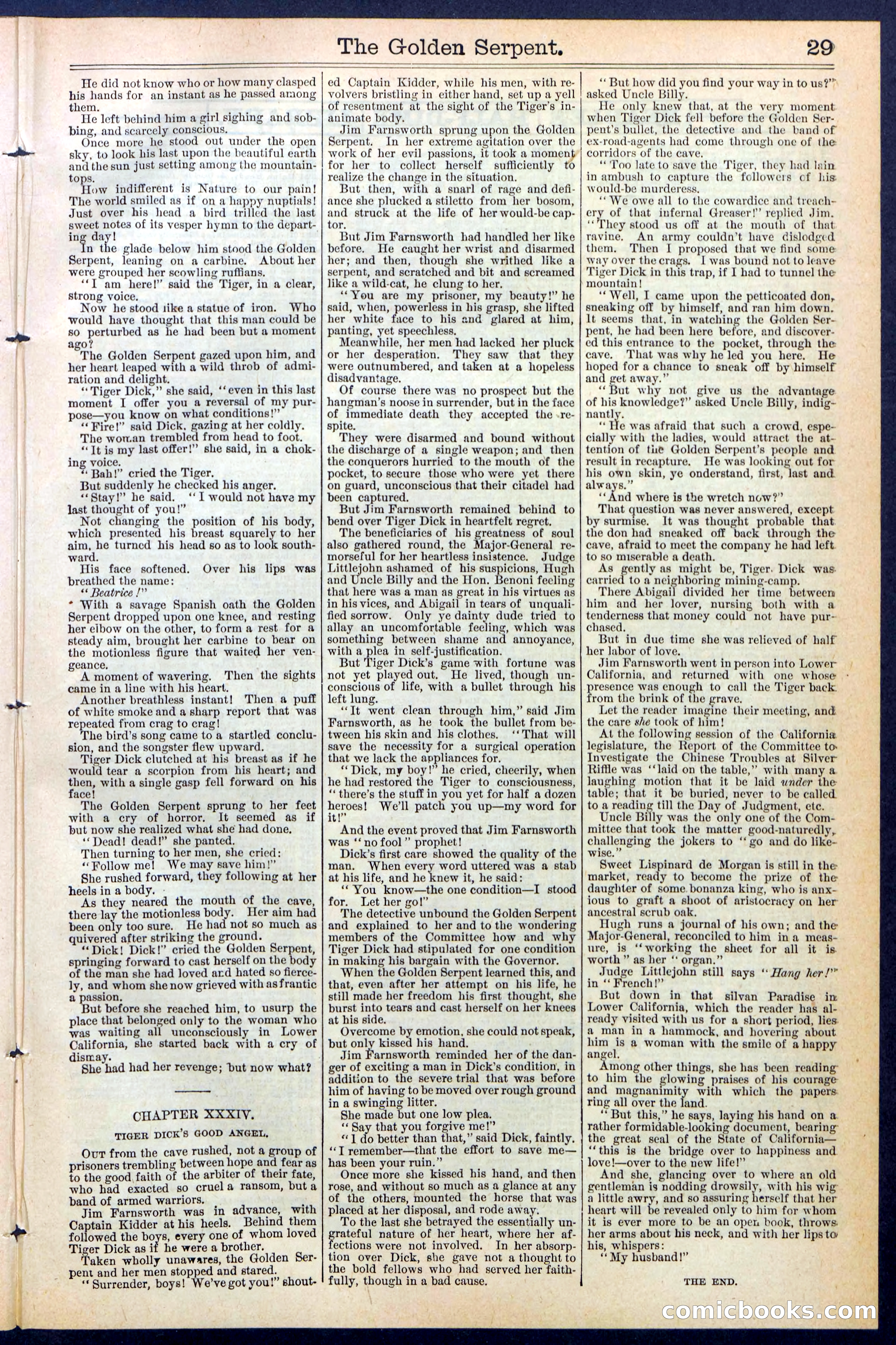 Beadle's New York Dime Library No. 380 — page 29 of 32