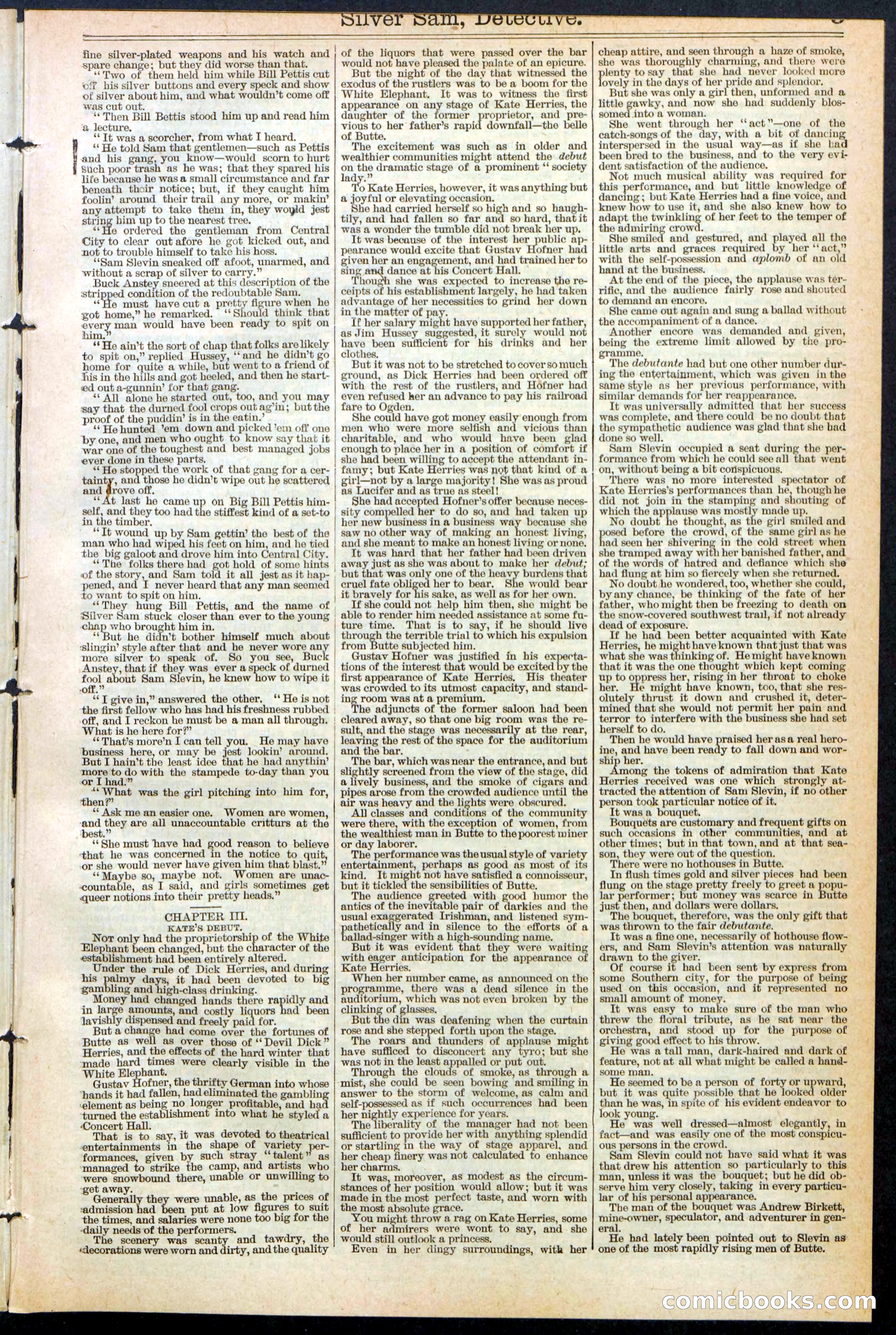 Beadle's New York Dime Library No. 383 — page 3 of 32