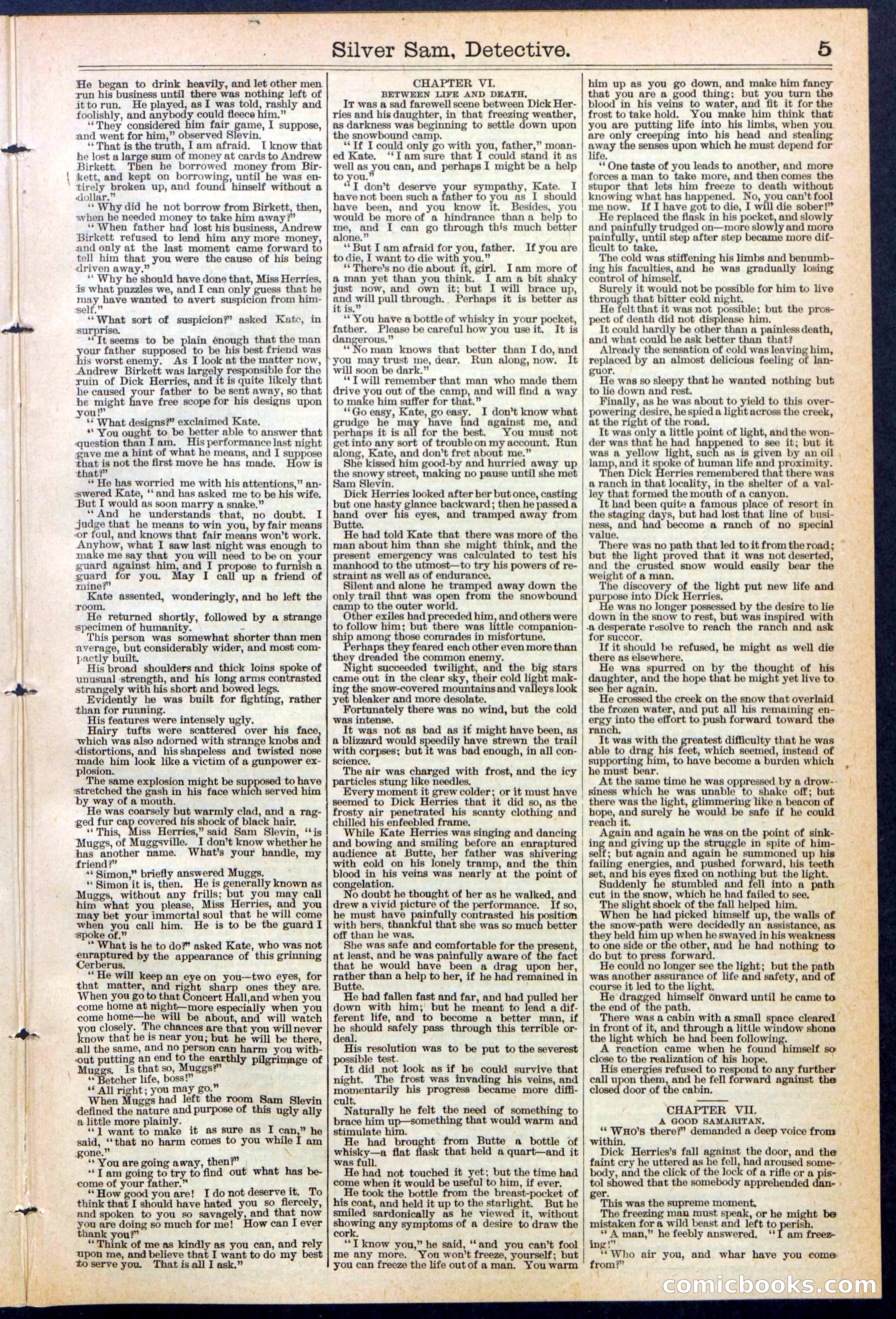 Beadle's New York Dime Library No. 383 — page 5 of 32