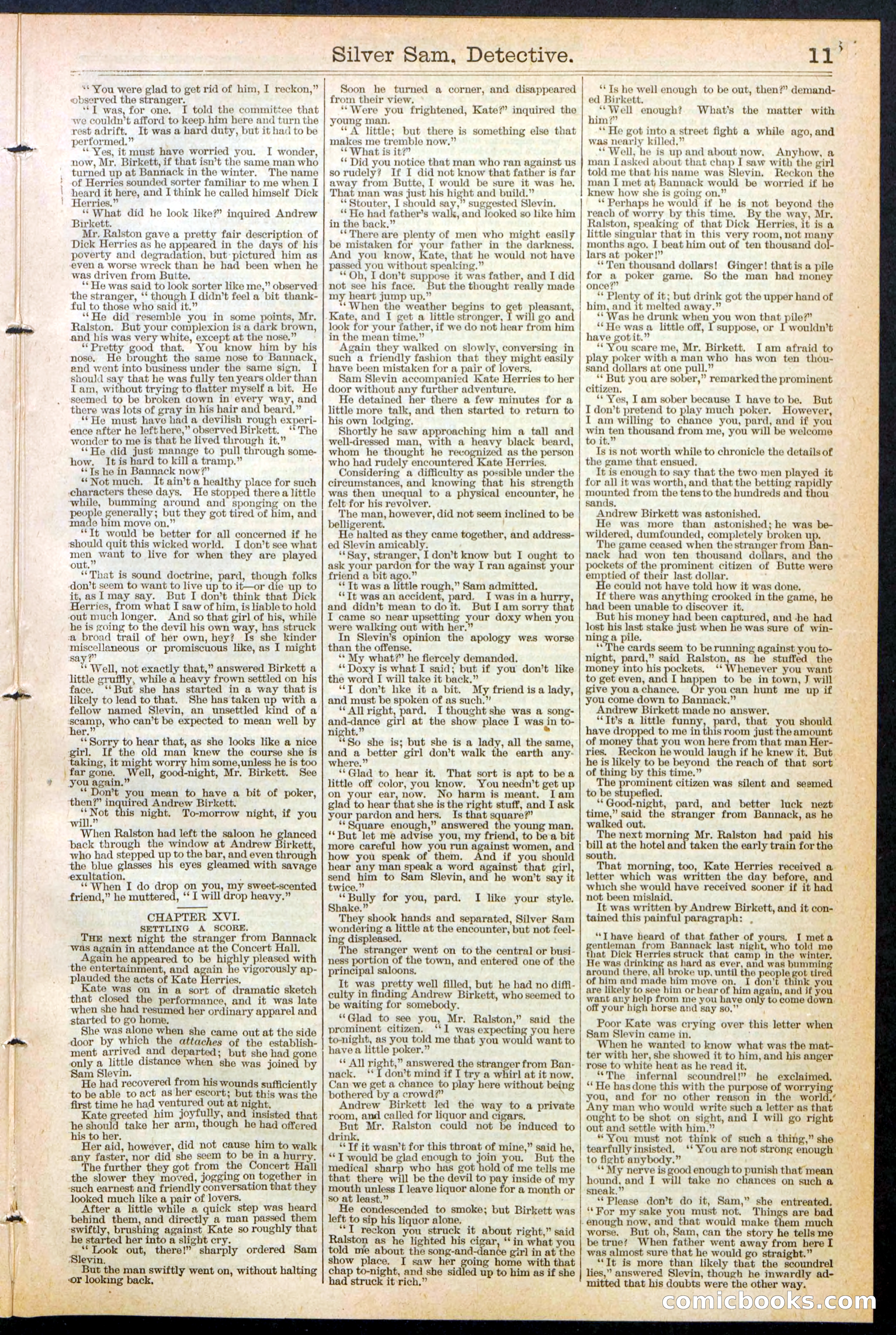 Beadle's New York Dime Library No. 383 — page 11 of 32
