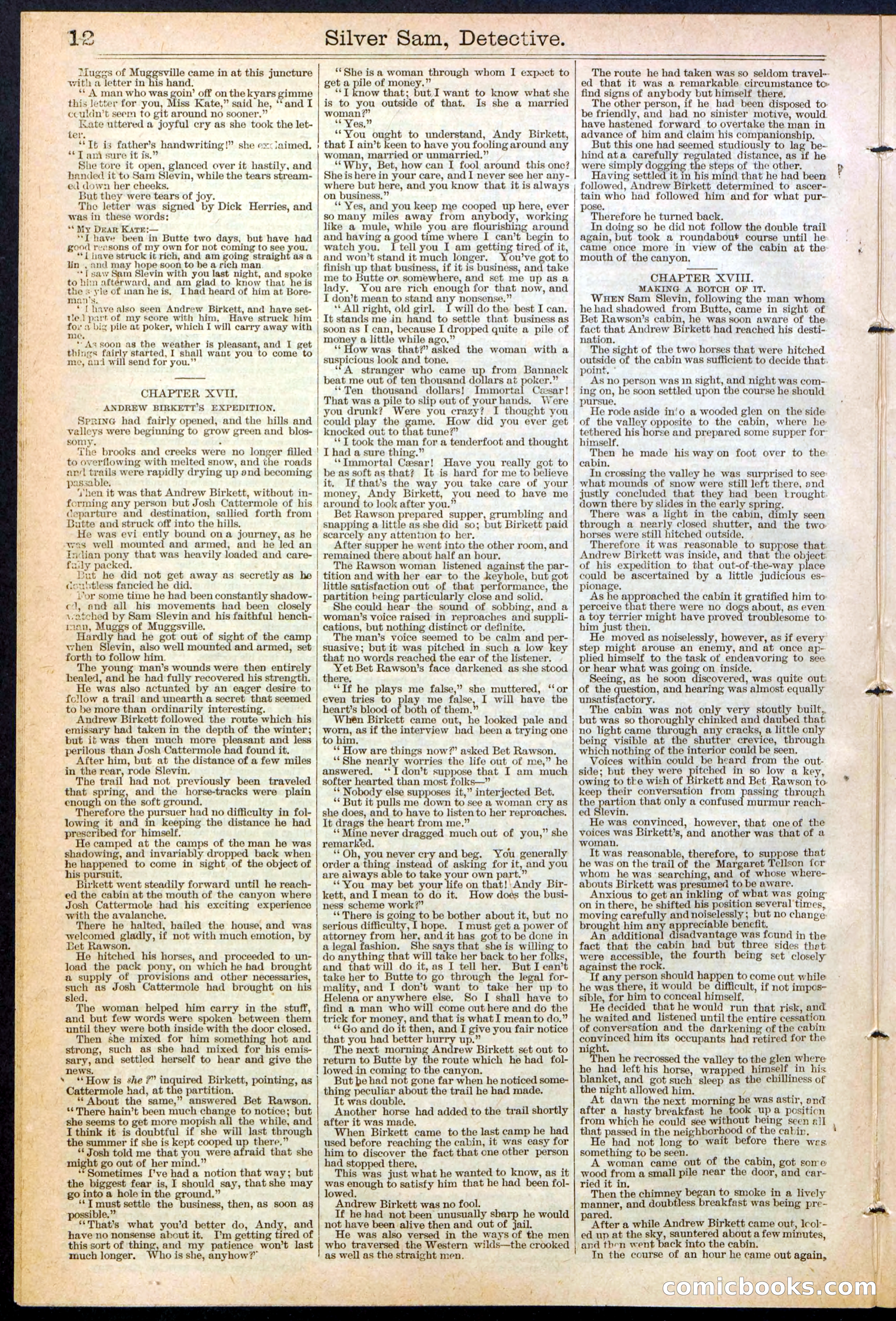 Beadle's New York Dime Library No. 383 — page 12 of 32