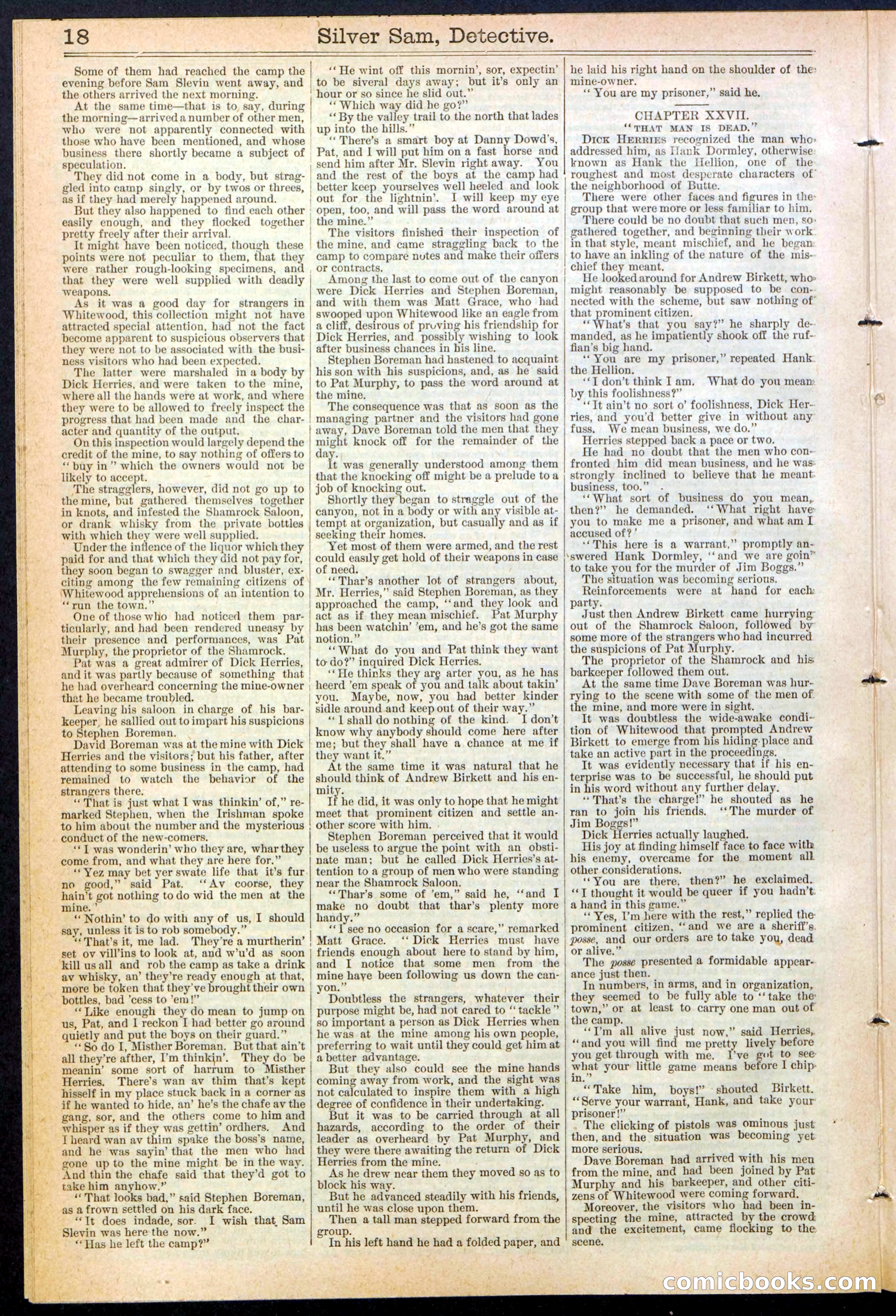 Beadle's New York Dime Library No. 383 — page 18 of 32