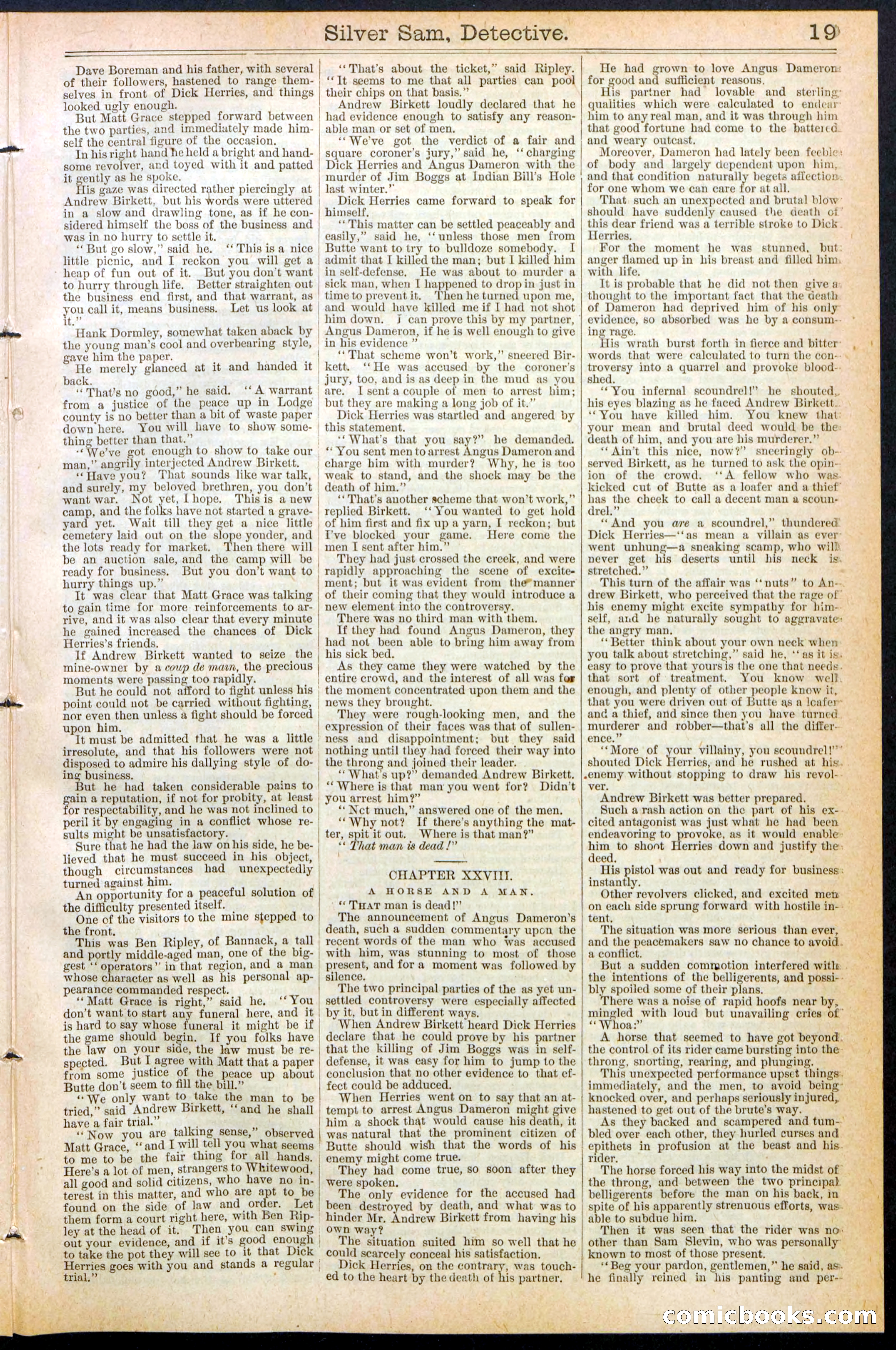 Beadle's New York Dime Library No. 383 — page 19 of 32