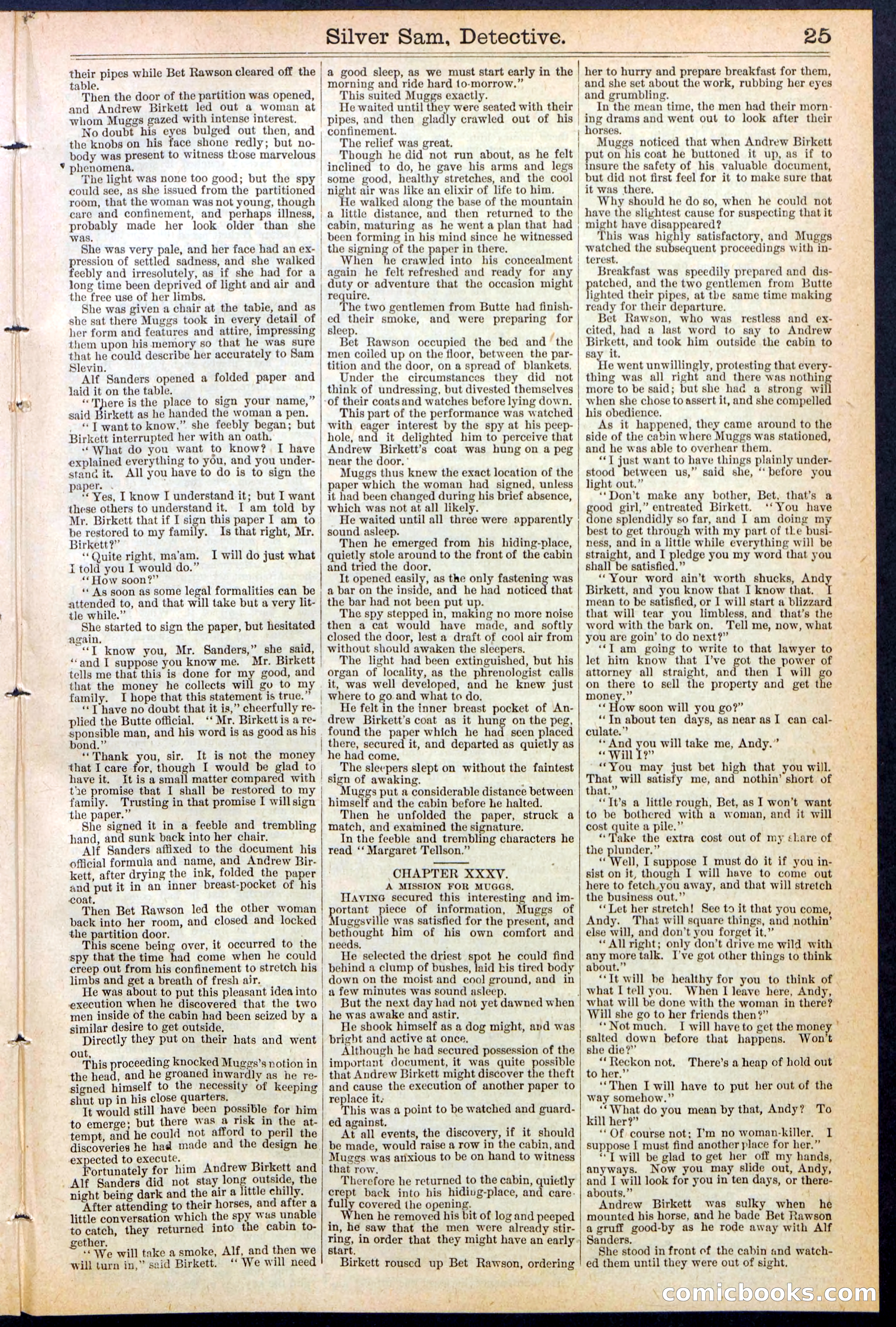 Beadle's New York Dime Library No. 383 — page 25 of 32
