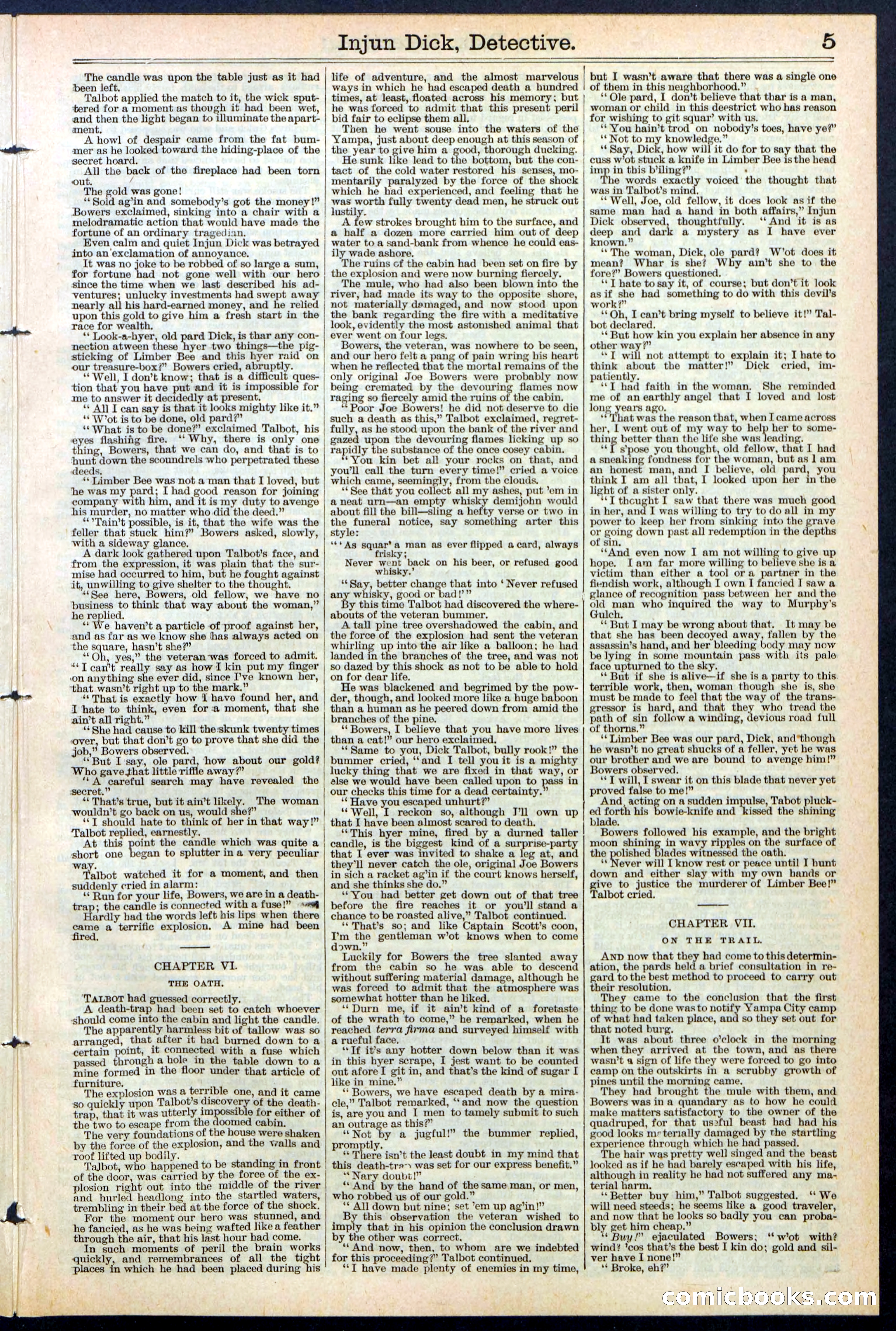 Beadle's Dime Library No. 384 — page 5 of 32