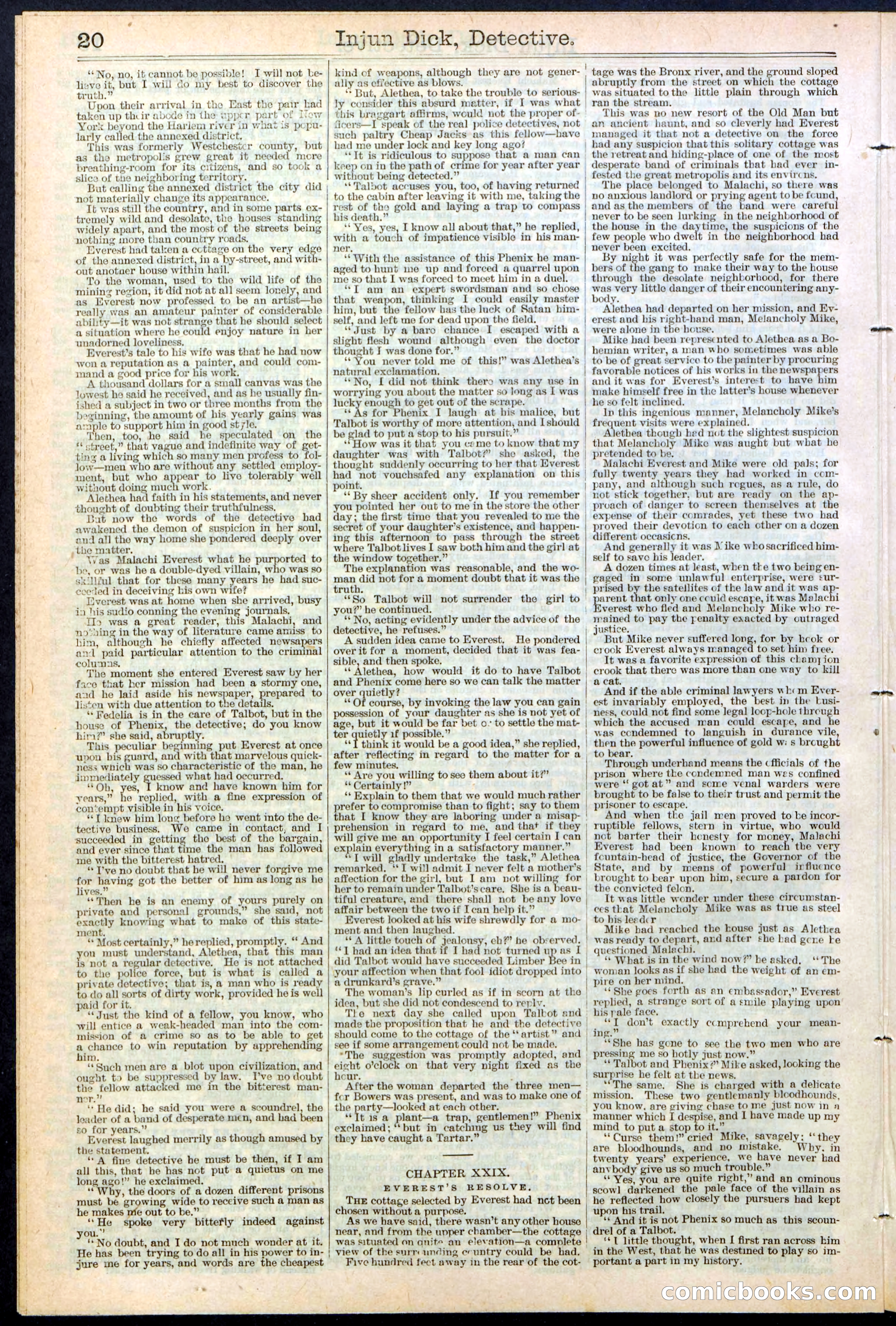 Beadle's Dime Library No. 384 — page 20 of 32