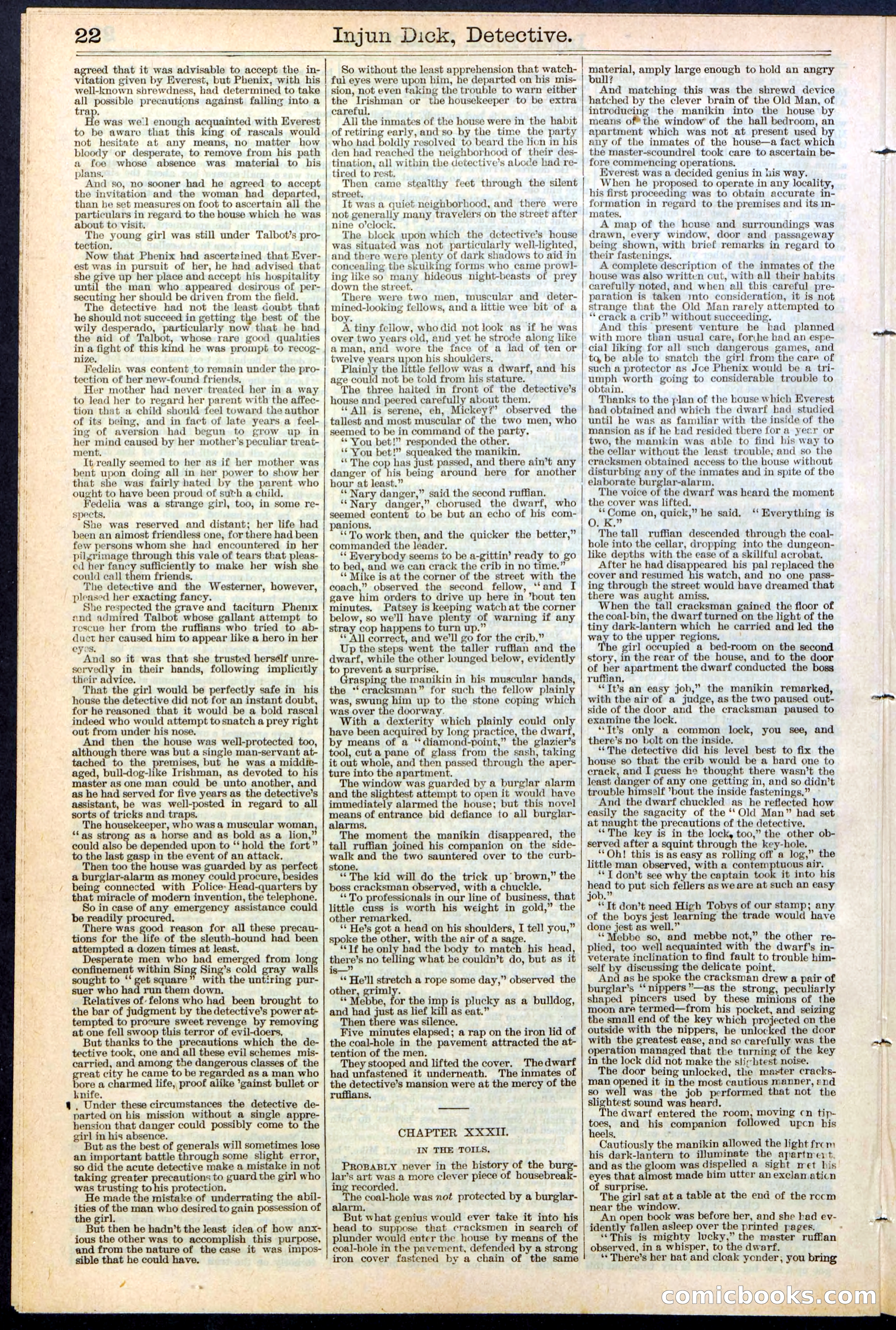 Beadle's Dime Library No. 384 — page 22 of 32