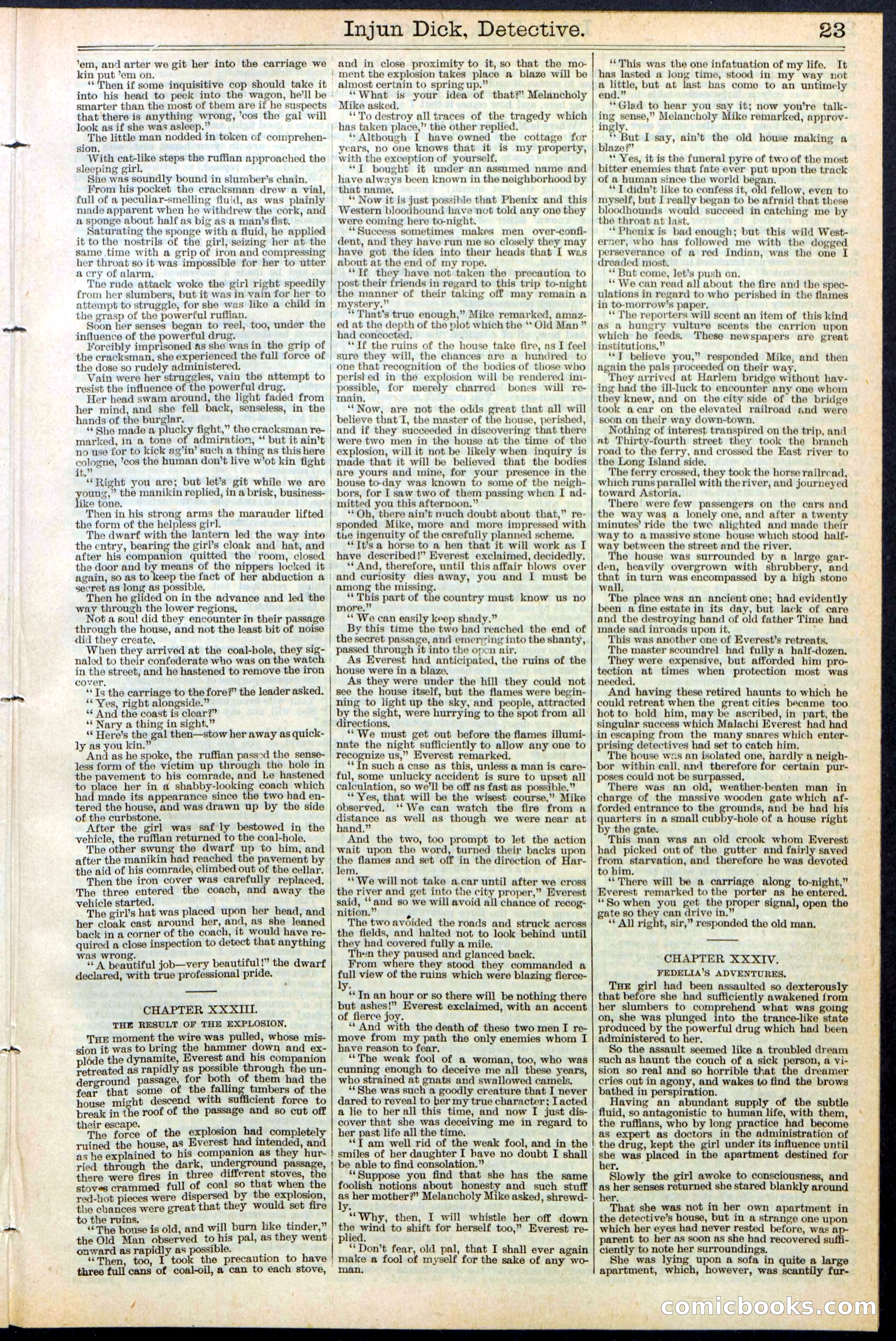 Beadle's Dime Library No. 384 — page 23 of 32