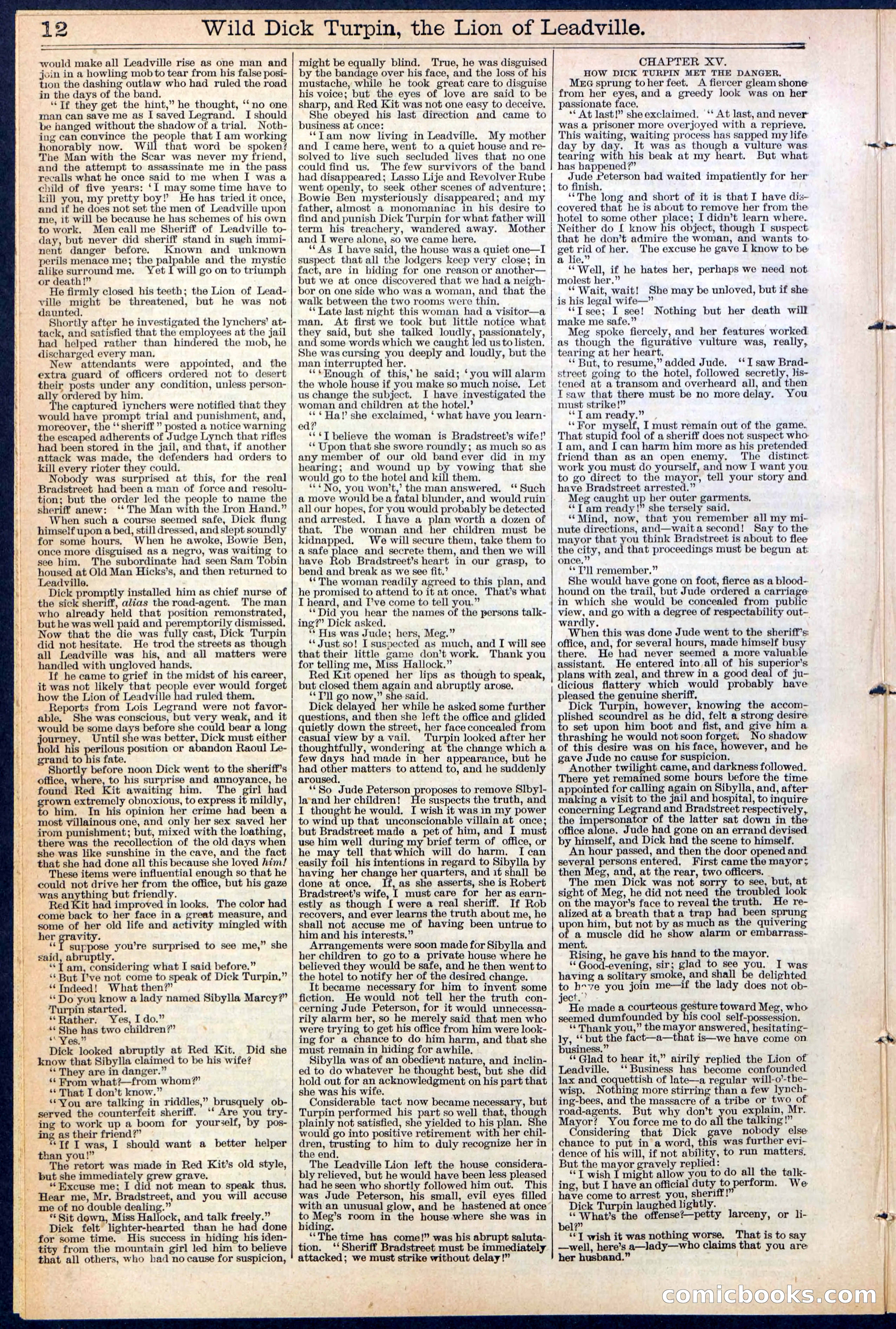 Beadle's New York Dime Library No. 385 — page 12 of 32