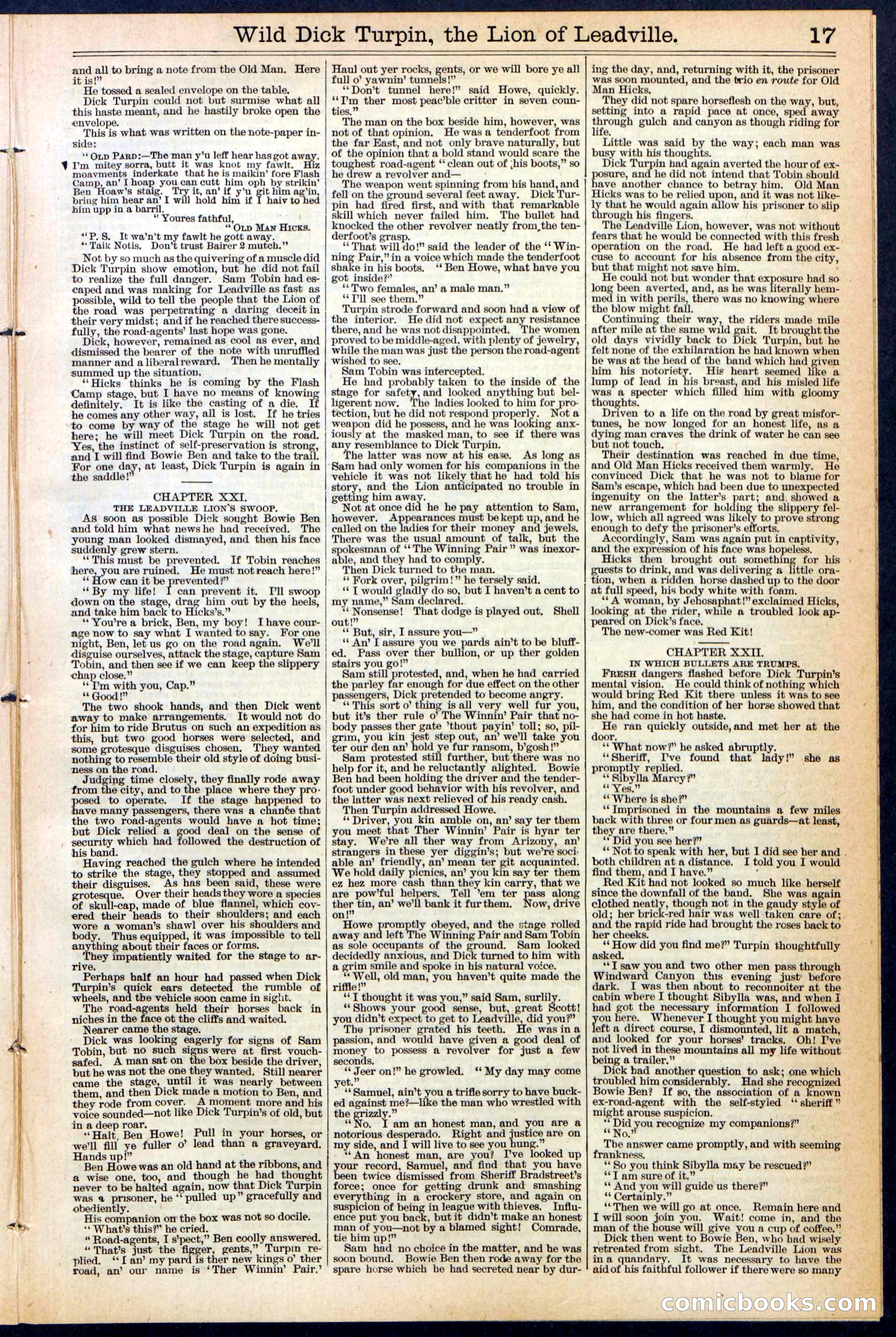 Beadle's New York Dime Library No. 385 — page 17 of 32