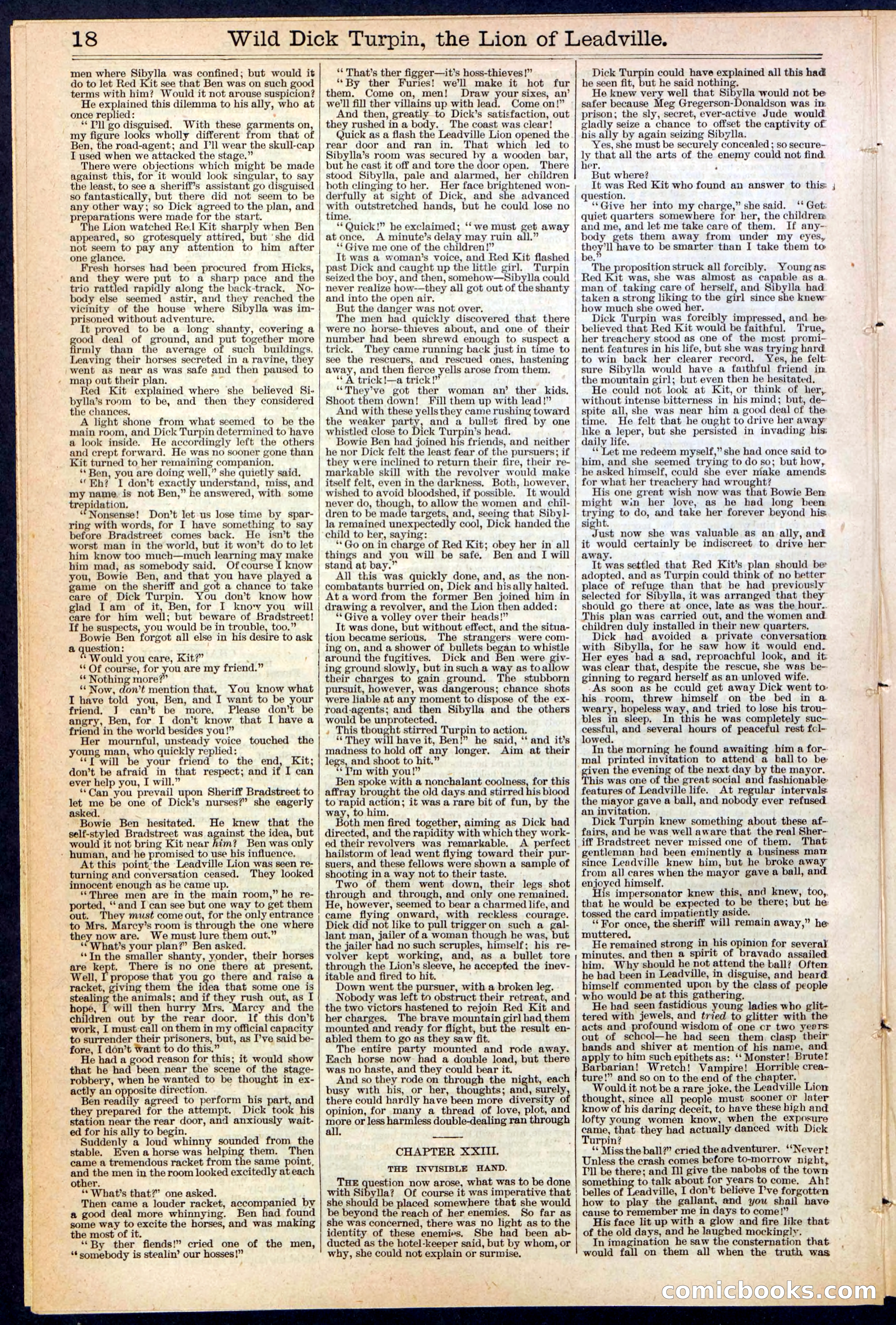 Beadle's New York Dime Library No. 385 — page 18 of 32