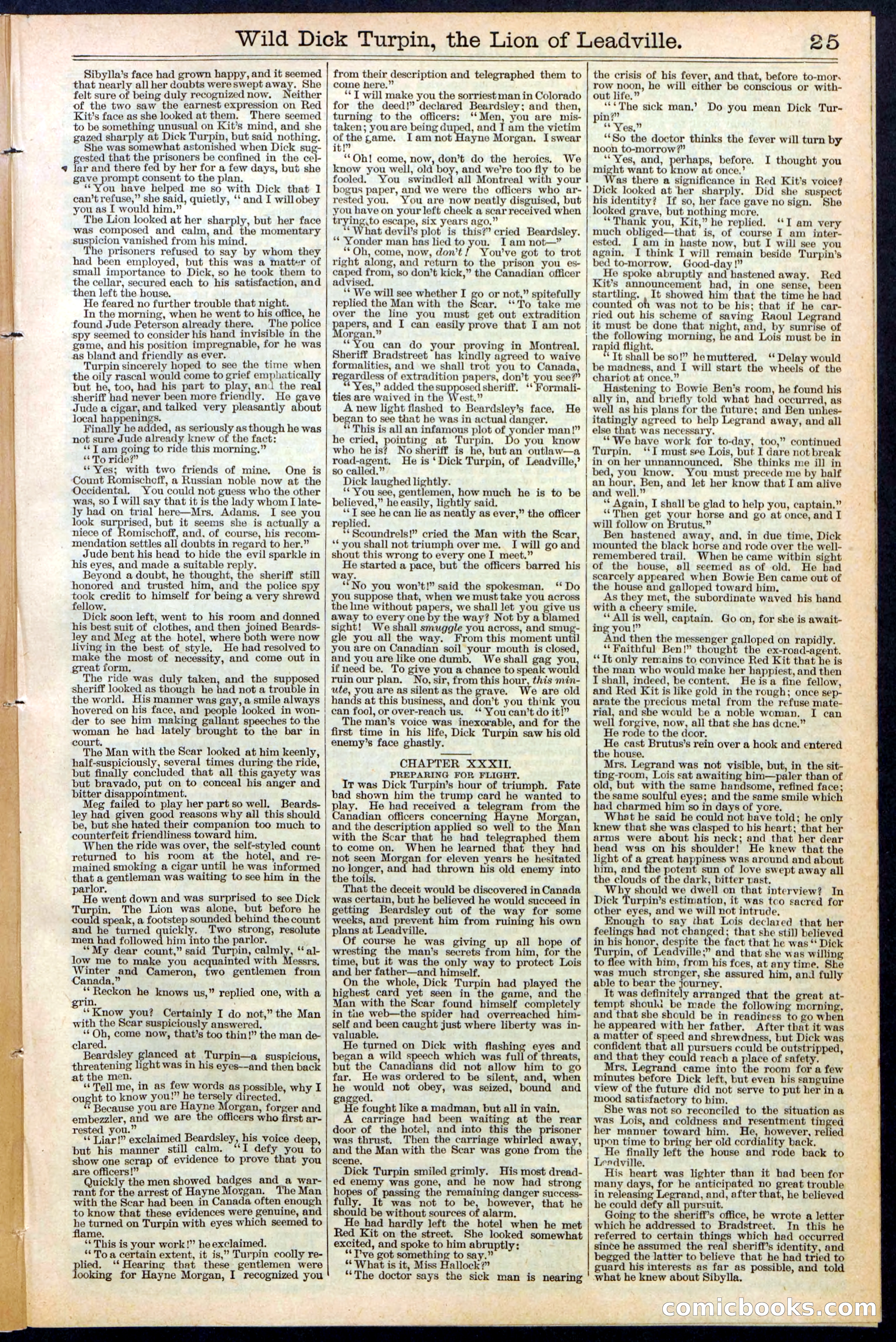 Beadle's New York Dime Library No. 385 — page 25 of 32