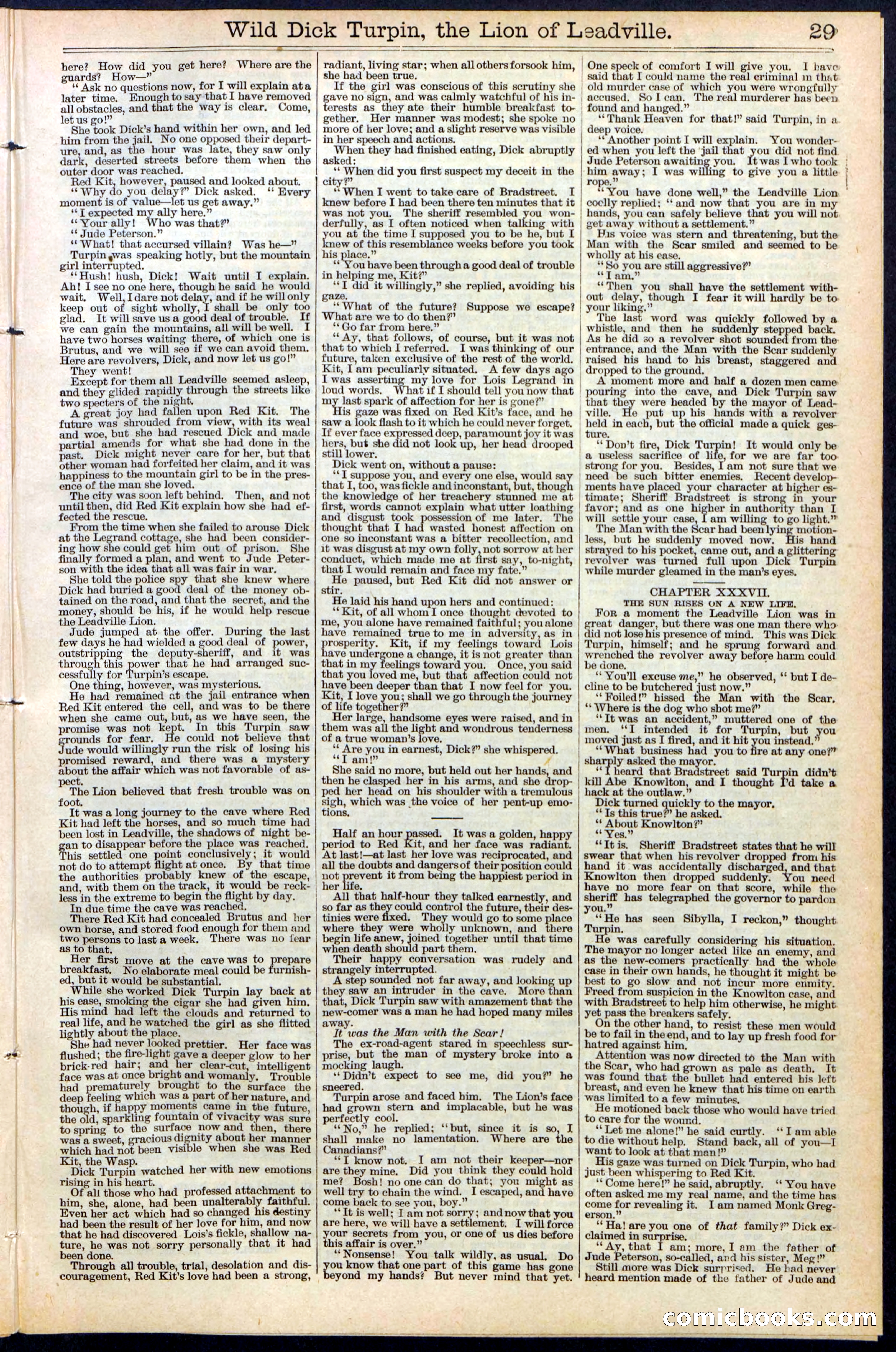 Beadle's New York Dime Library No. 385 — page 29 of 32