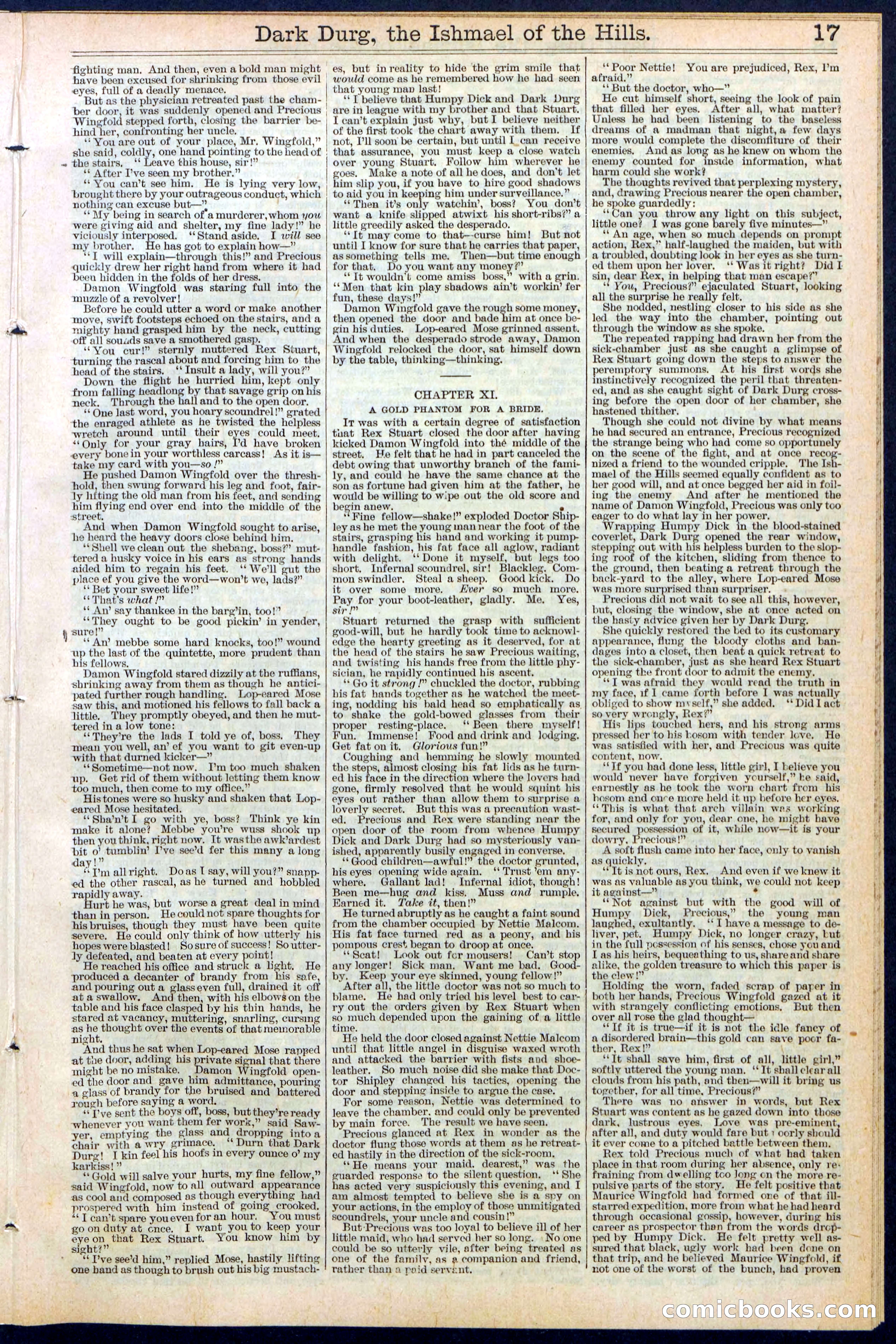 Beadle's Dime Library No. 387 — page 17 of 32