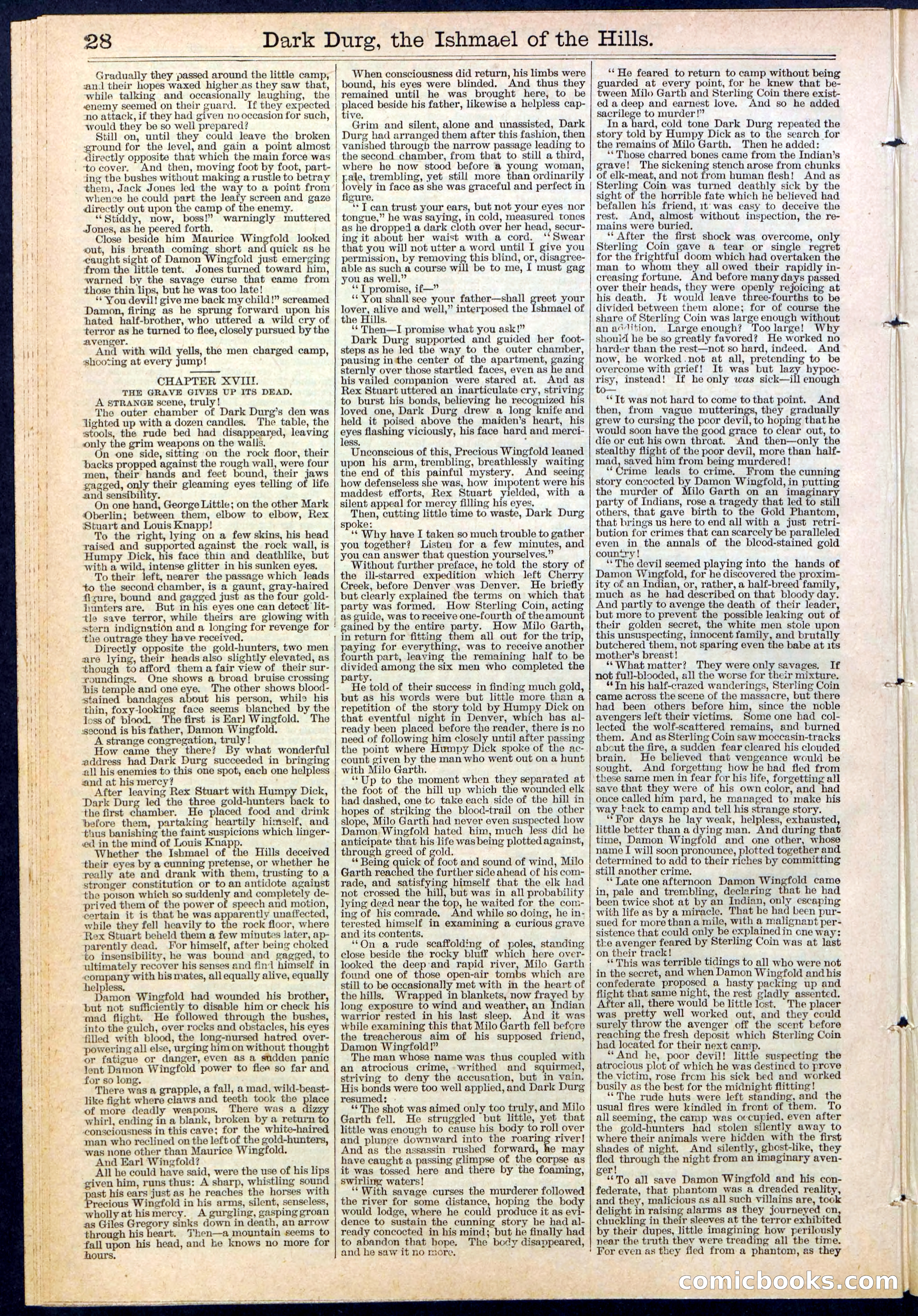 Beadle's Dime Library No. 387 — page 28 of 32