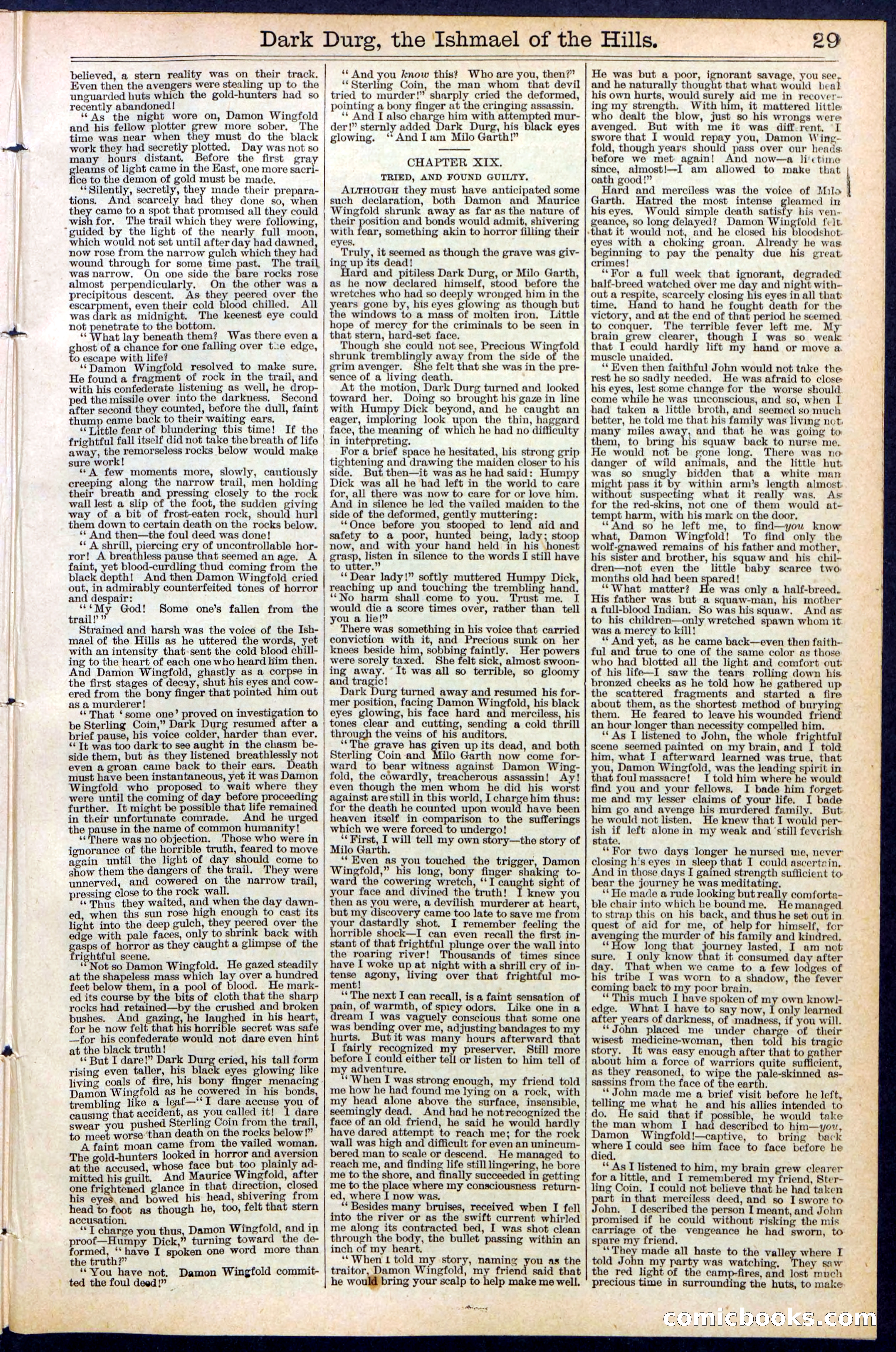 Beadle's Dime Library No. 387 — page 29 of 32