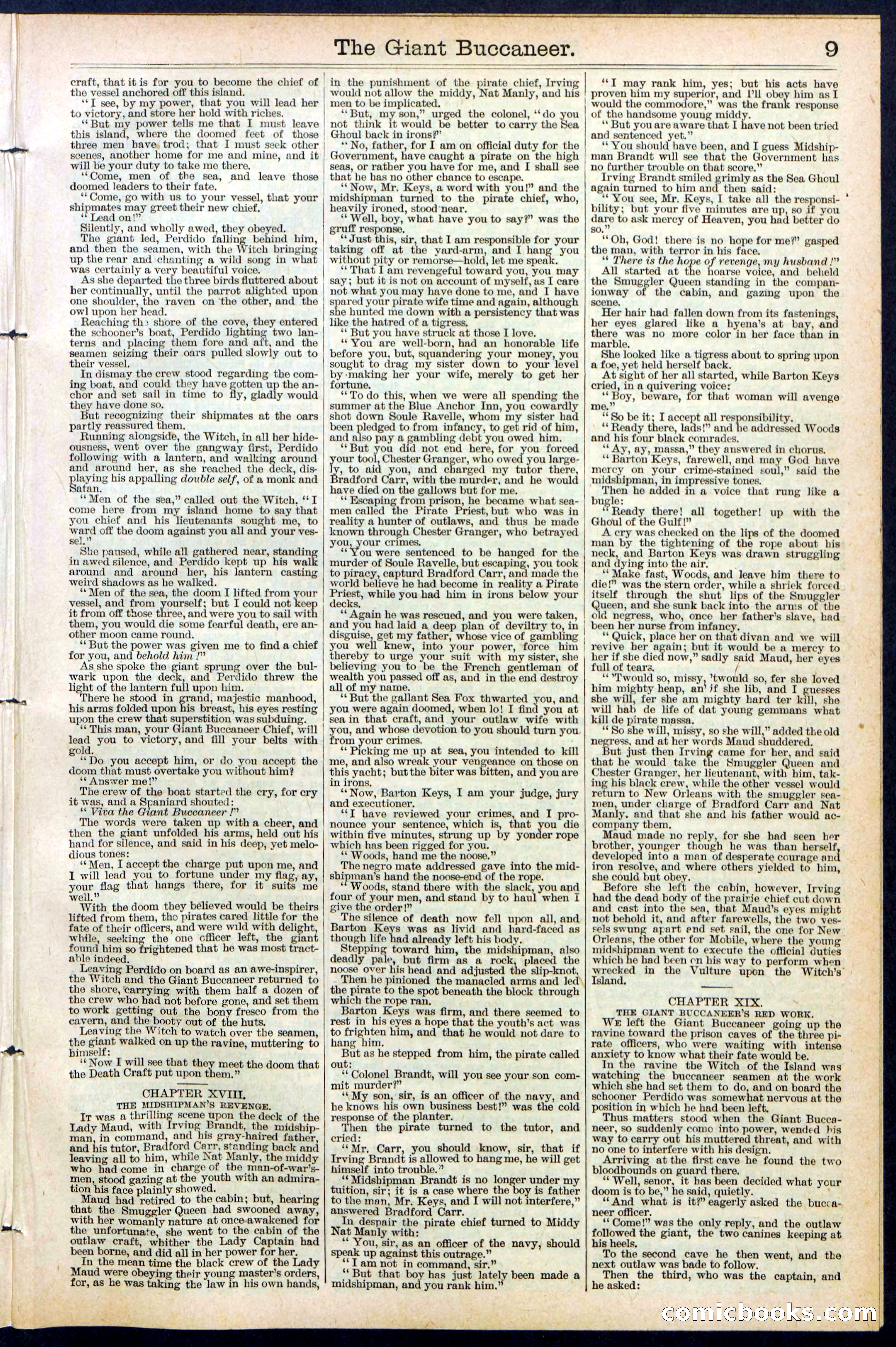 Beadle's Dime Library No. 388: The Giant Buccaneer — page 9 of 32