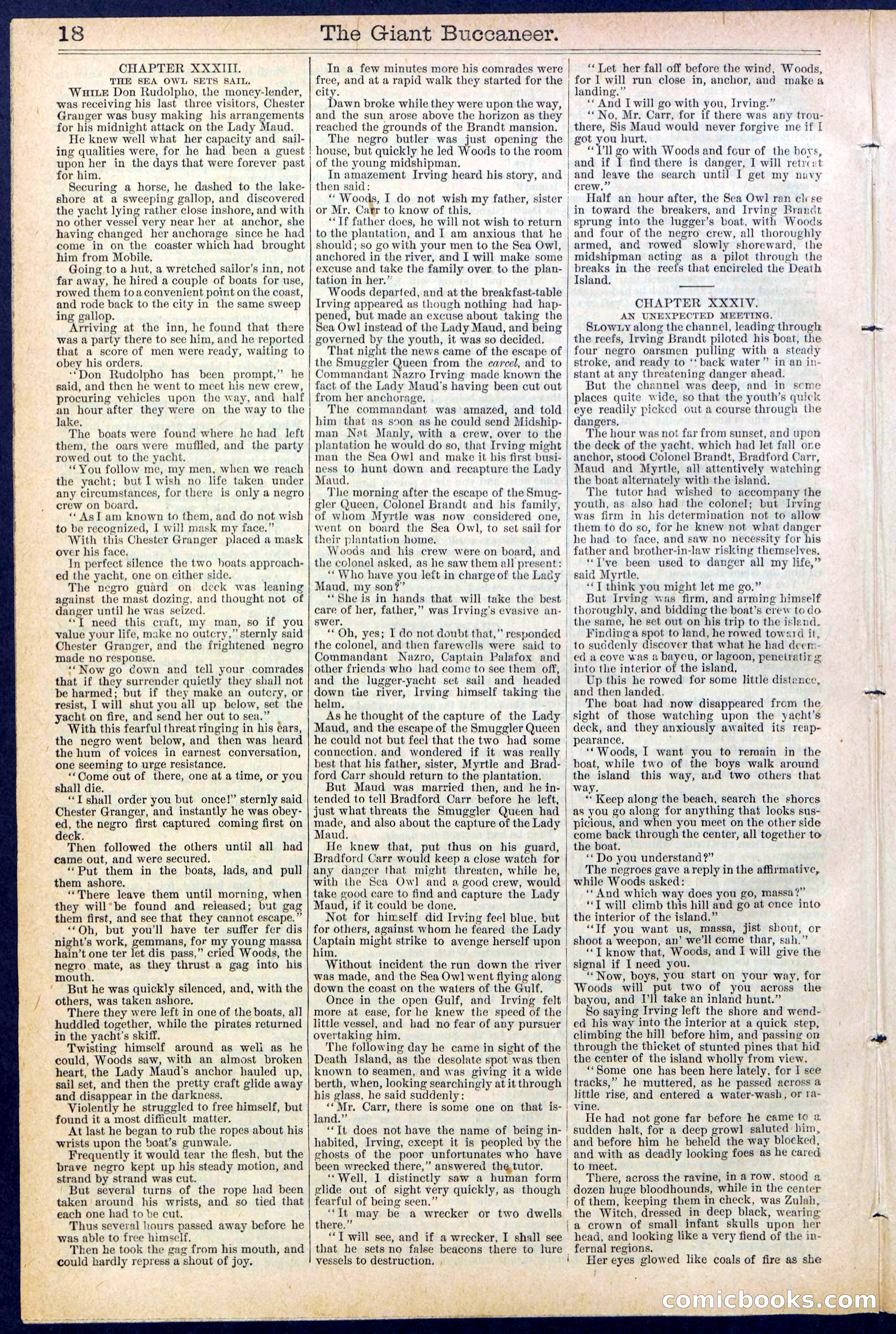 Beadle's Dime Library No. 388: The Giant Buccaneer — page 18 of 32