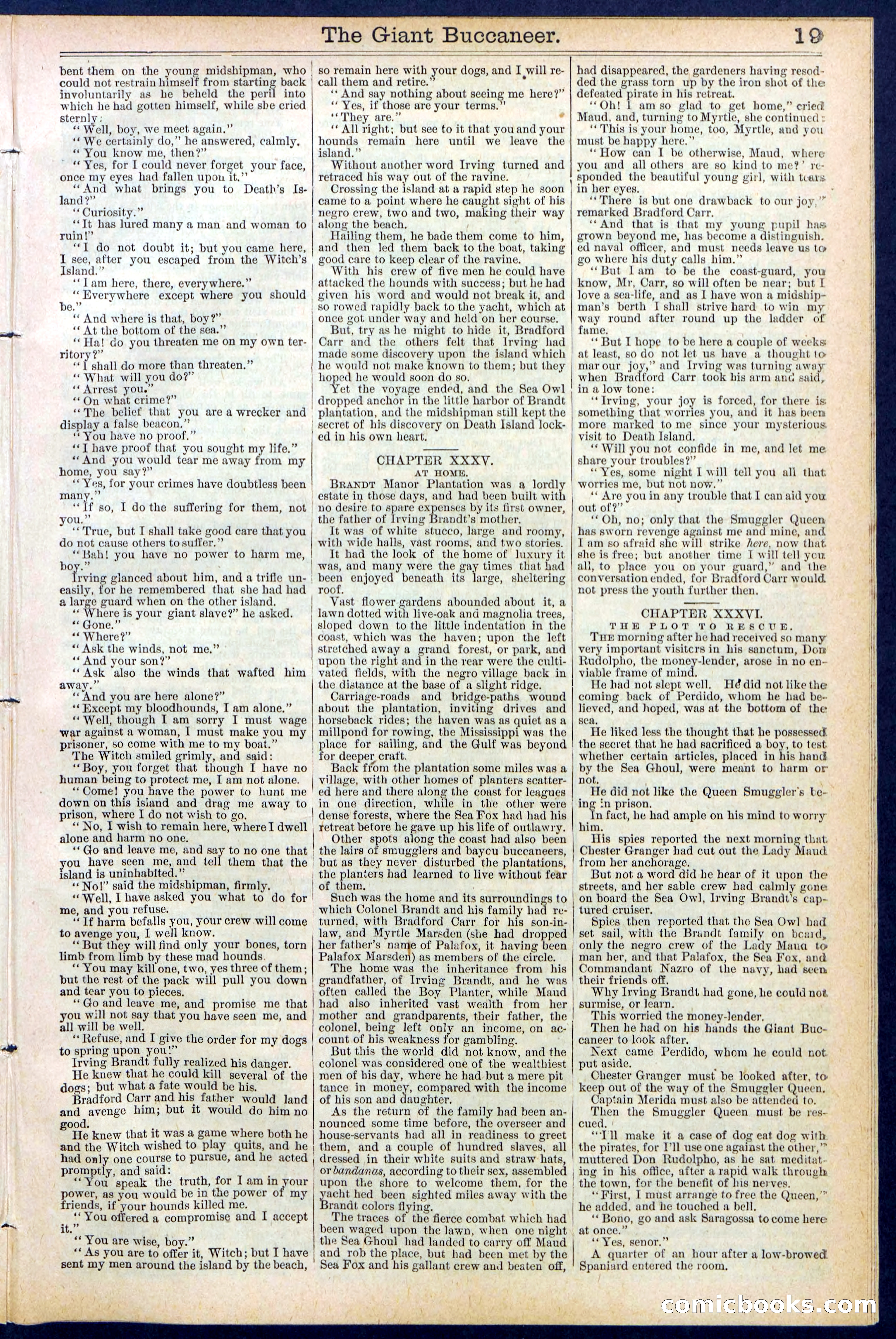 Beadle's Dime Library No. 388: The Giant Buccaneer — page 19 of 32