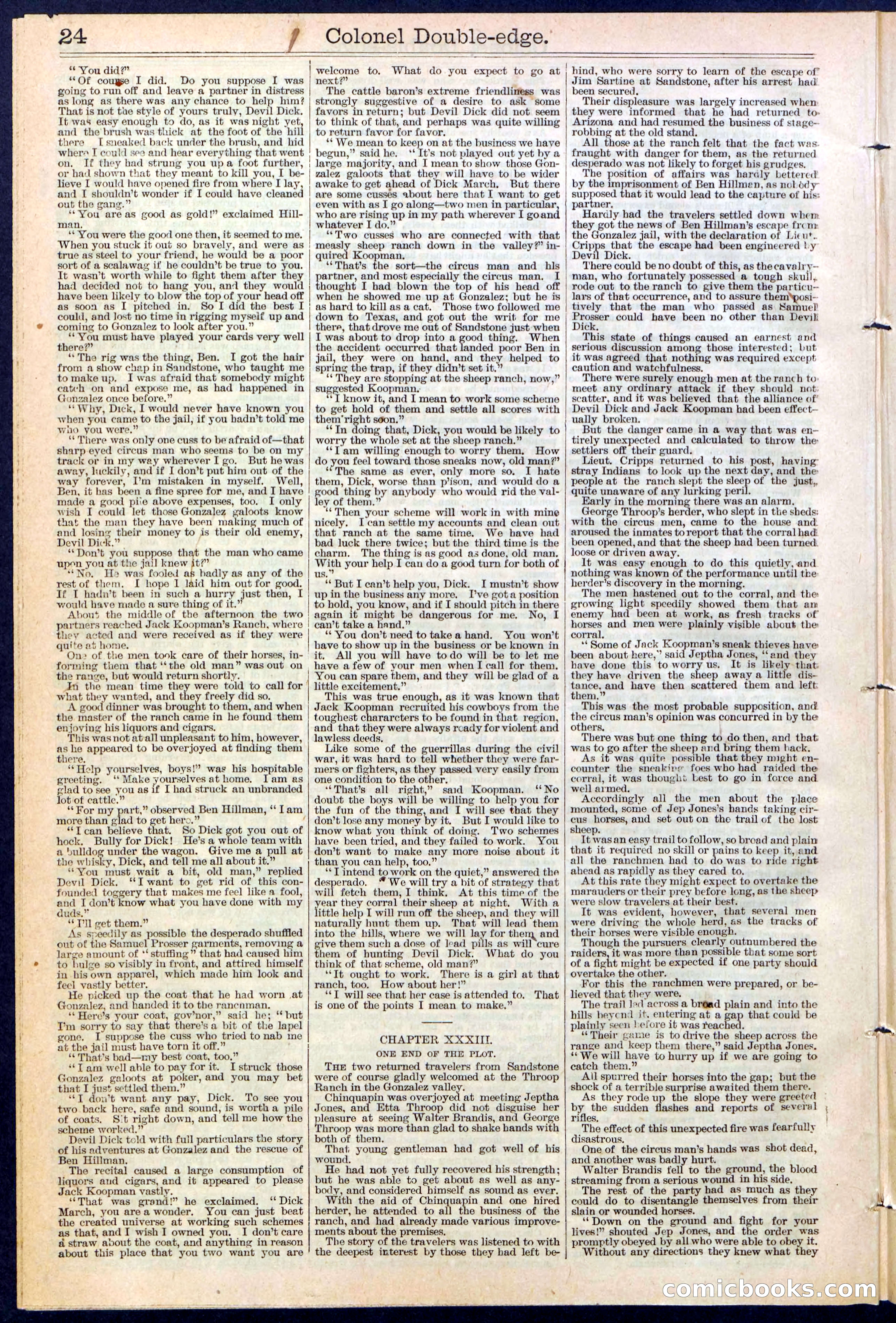 Beadle's New York Dime Library No. 389 — page 24 of 32