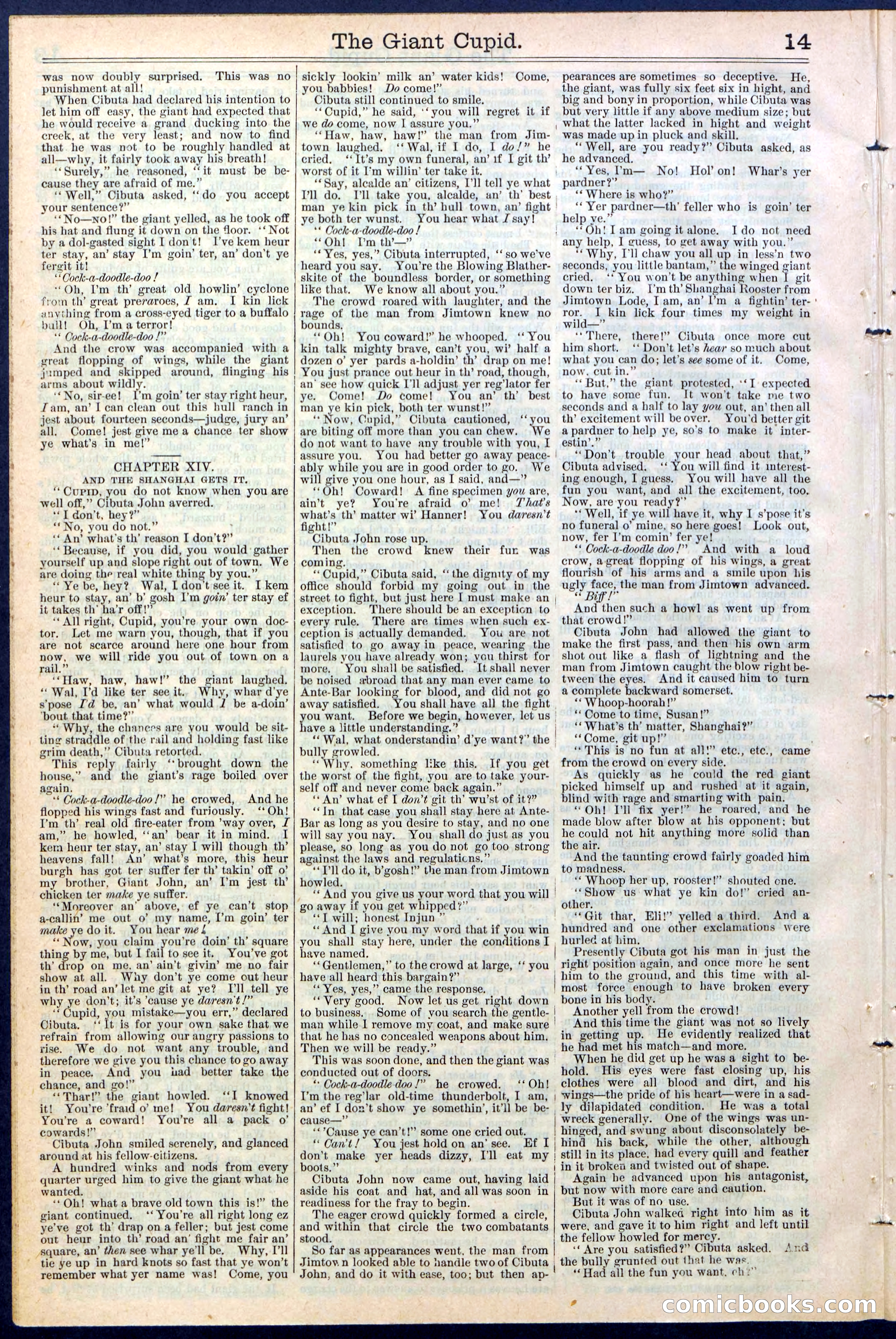 Beadle's New York Dime Library, No. 390 — page 14 of 32