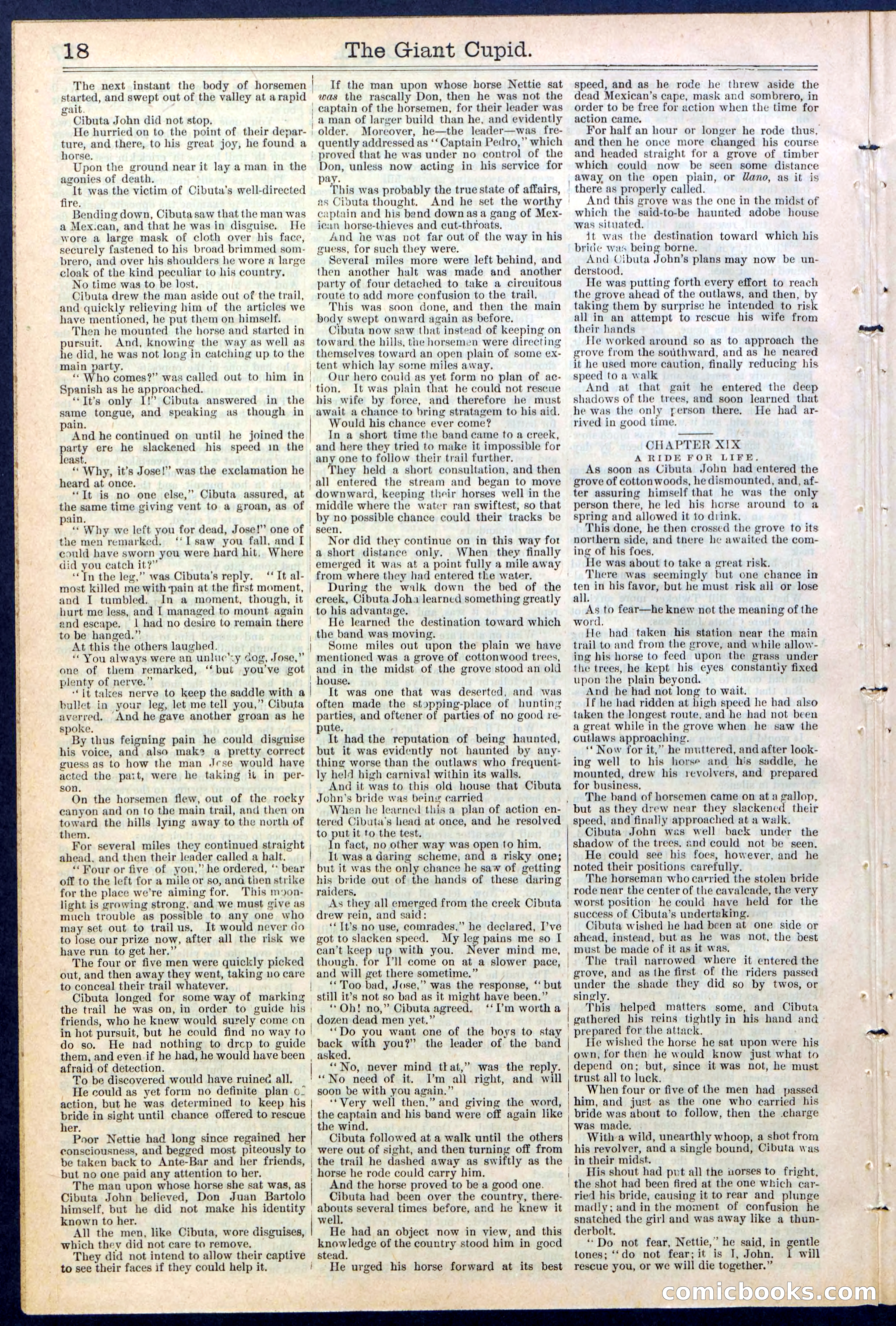 Beadle's New York Dime Library, No. 390 — page 18 of 32