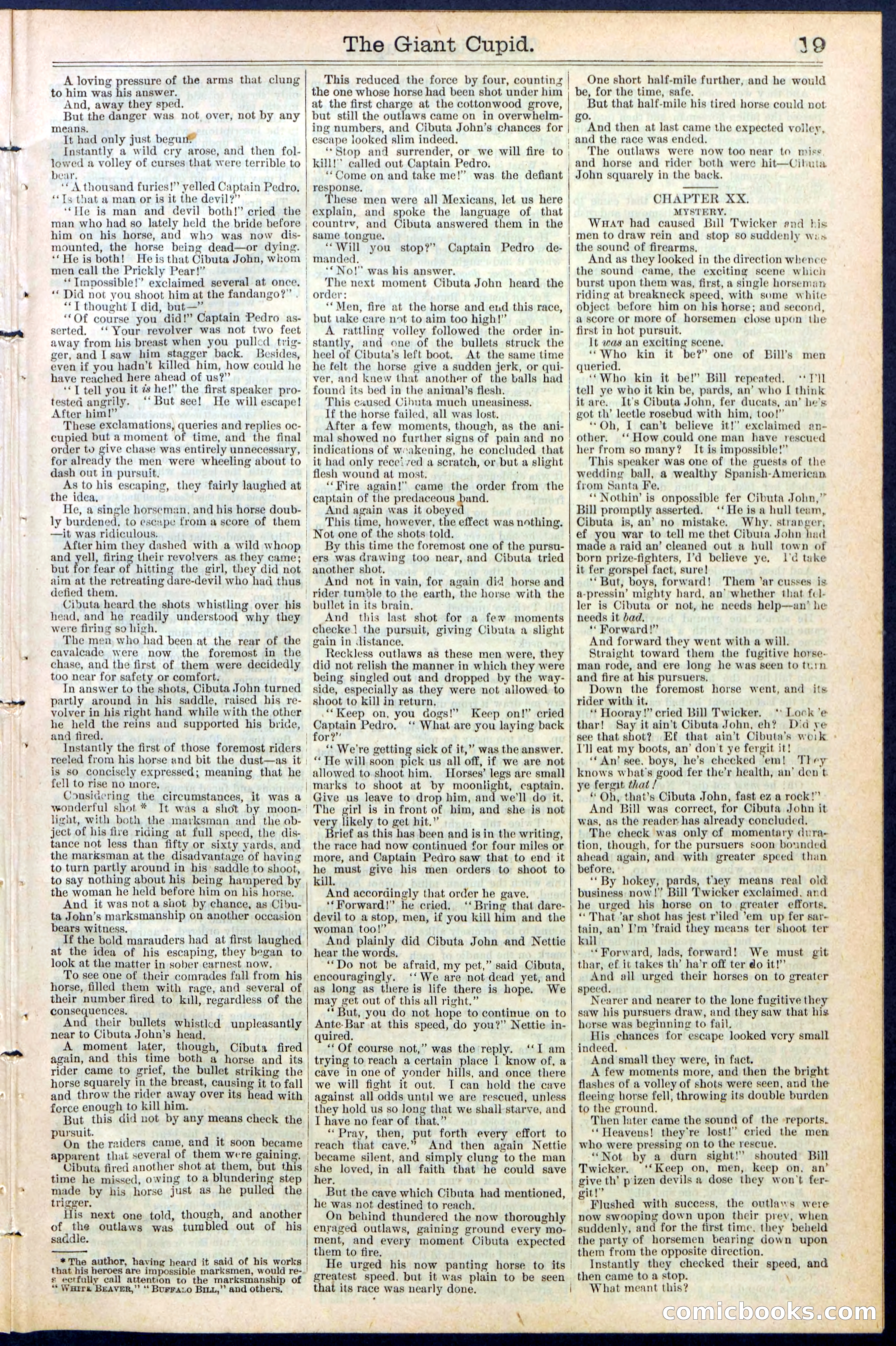 Beadle's New York Dime Library, No. 390 — page 19 of 32