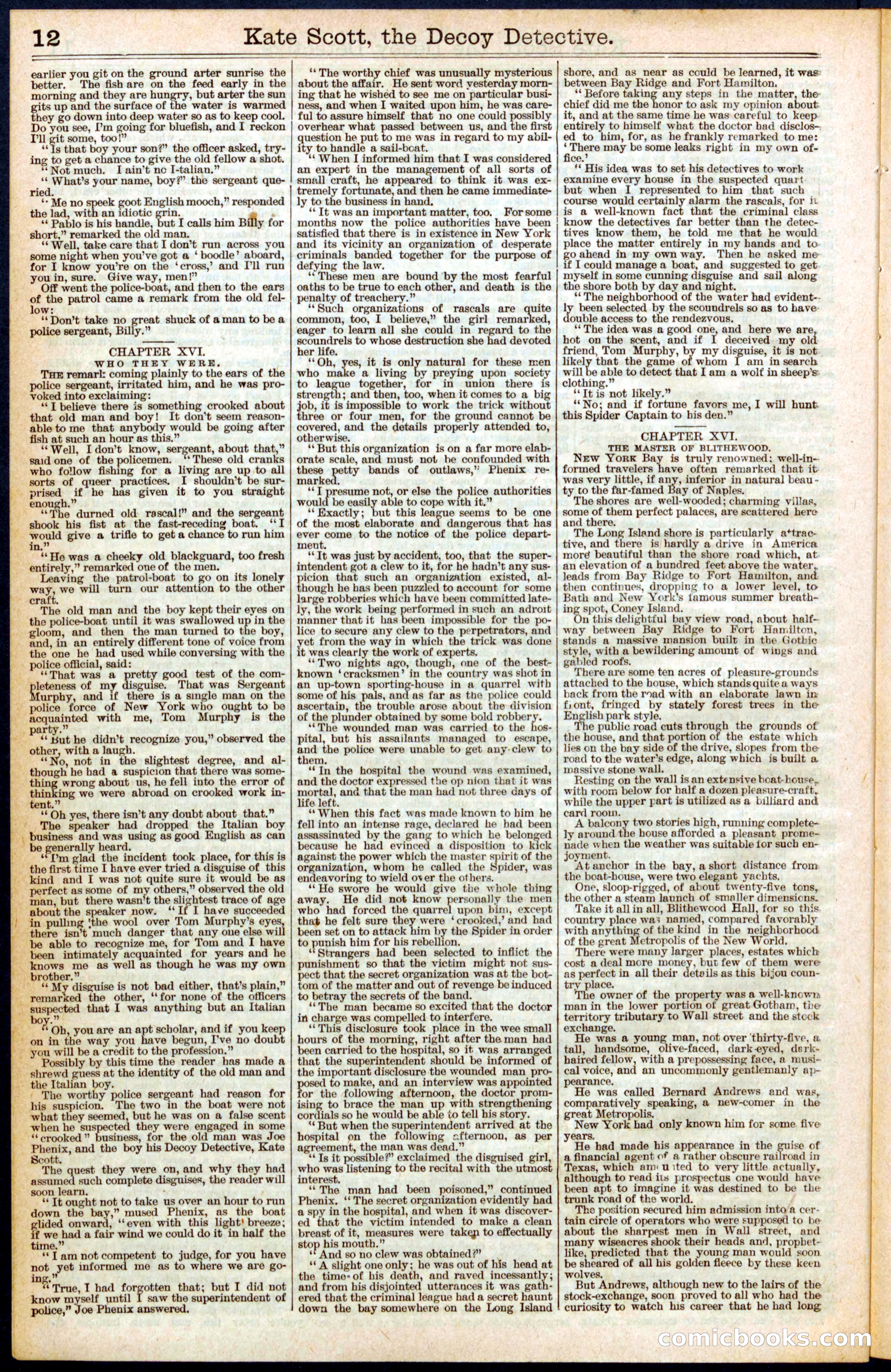 Beadle's Dime Library No. 391 — page 12 of 32