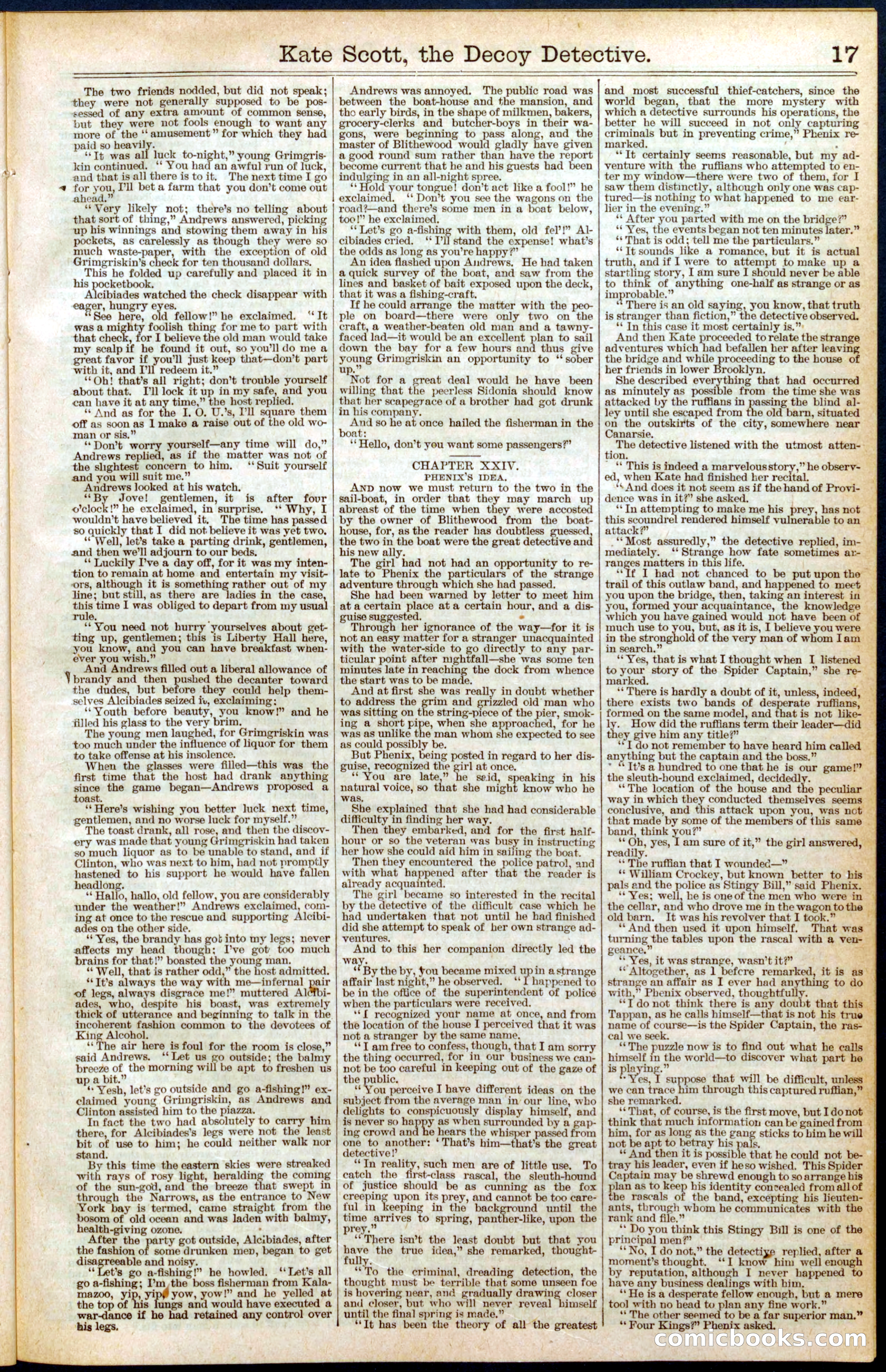 Beadle's Dime Library No. 391 — page 17 of 32