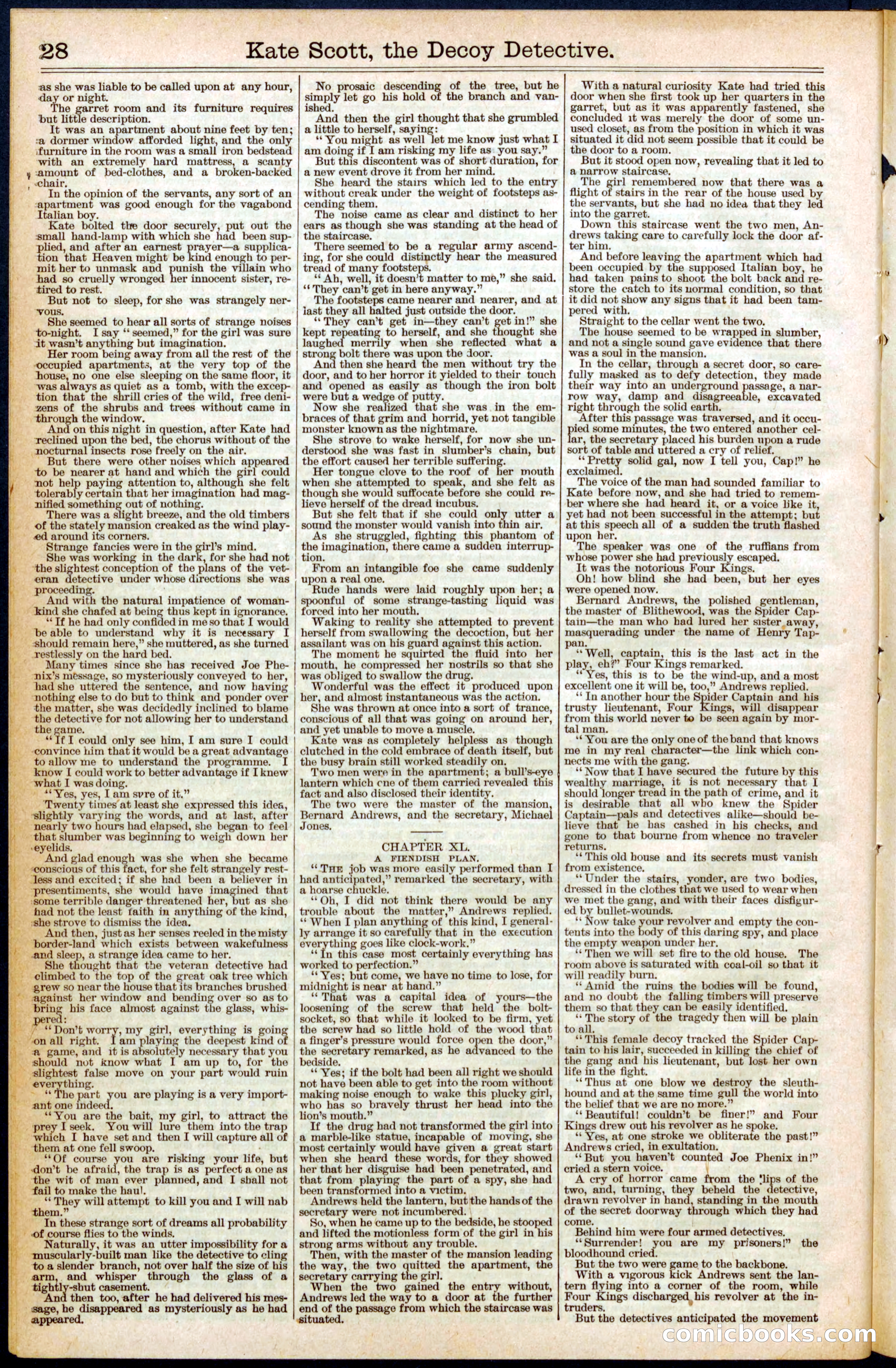 Beadle's Dime Library No. 391 — page 28 of 32