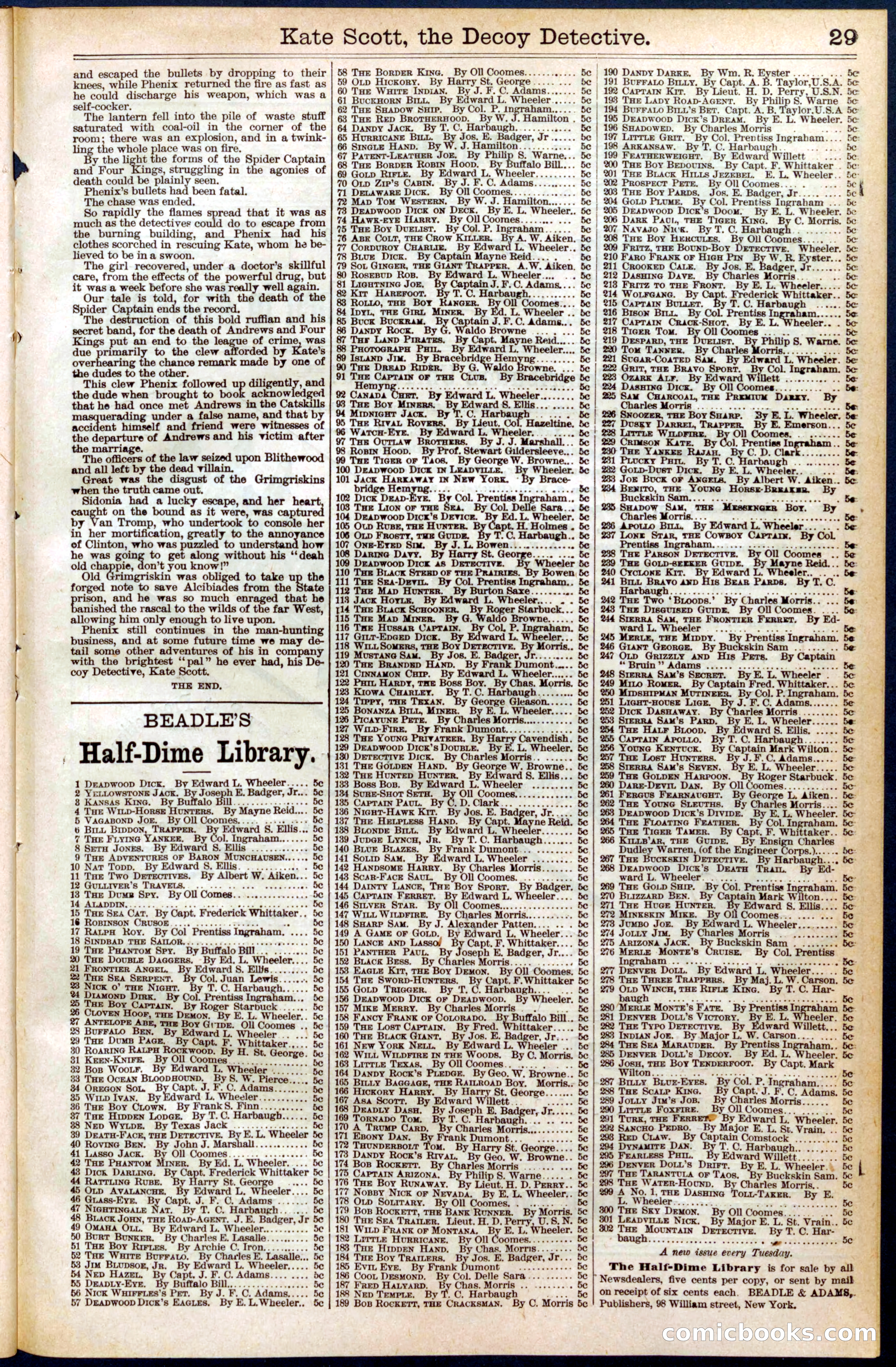 Beadle's Dime Library No. 391 — page 29 of 32