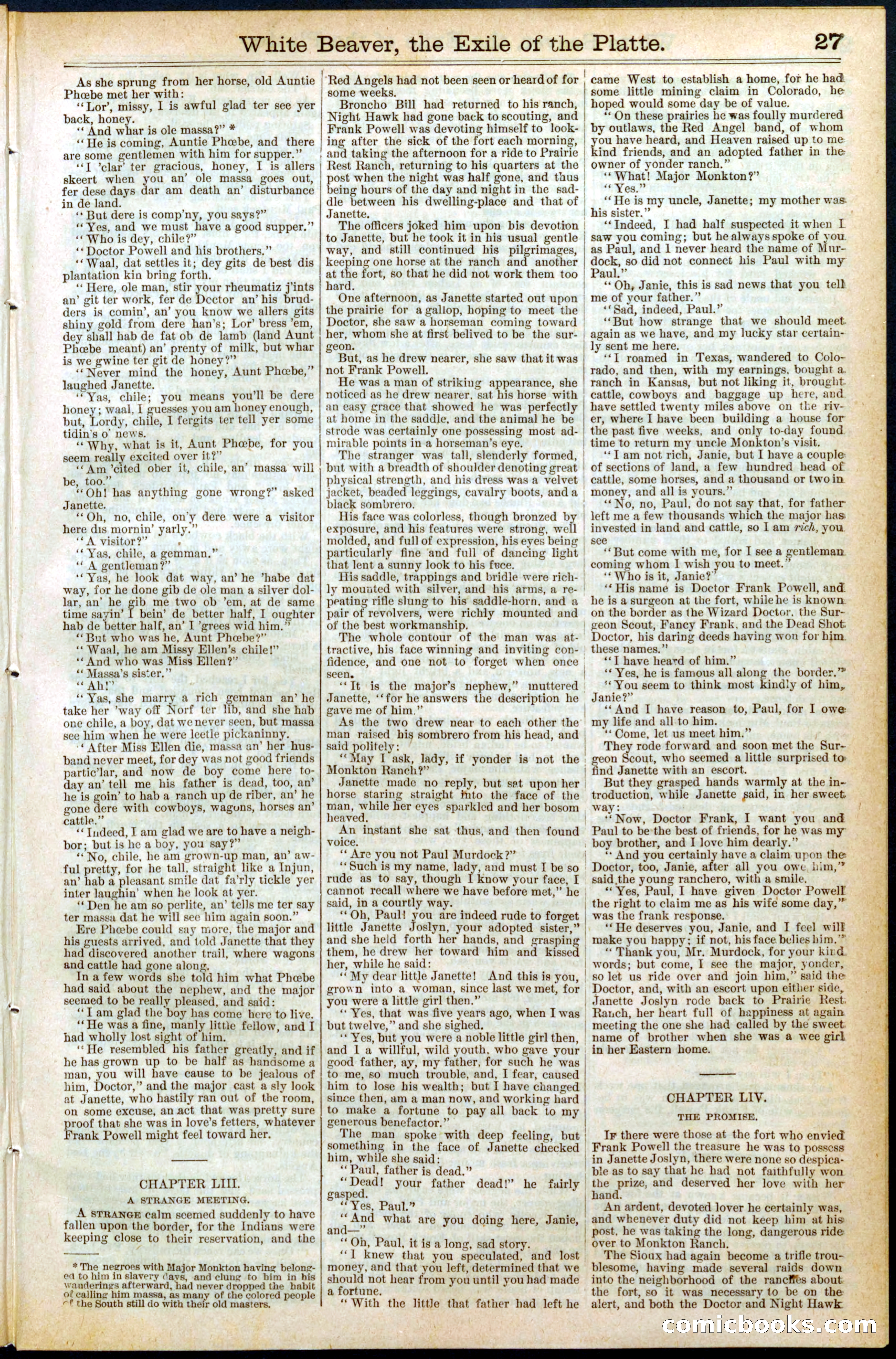 Beadle's New York Dime Library, No. 394 — page 27 of 32