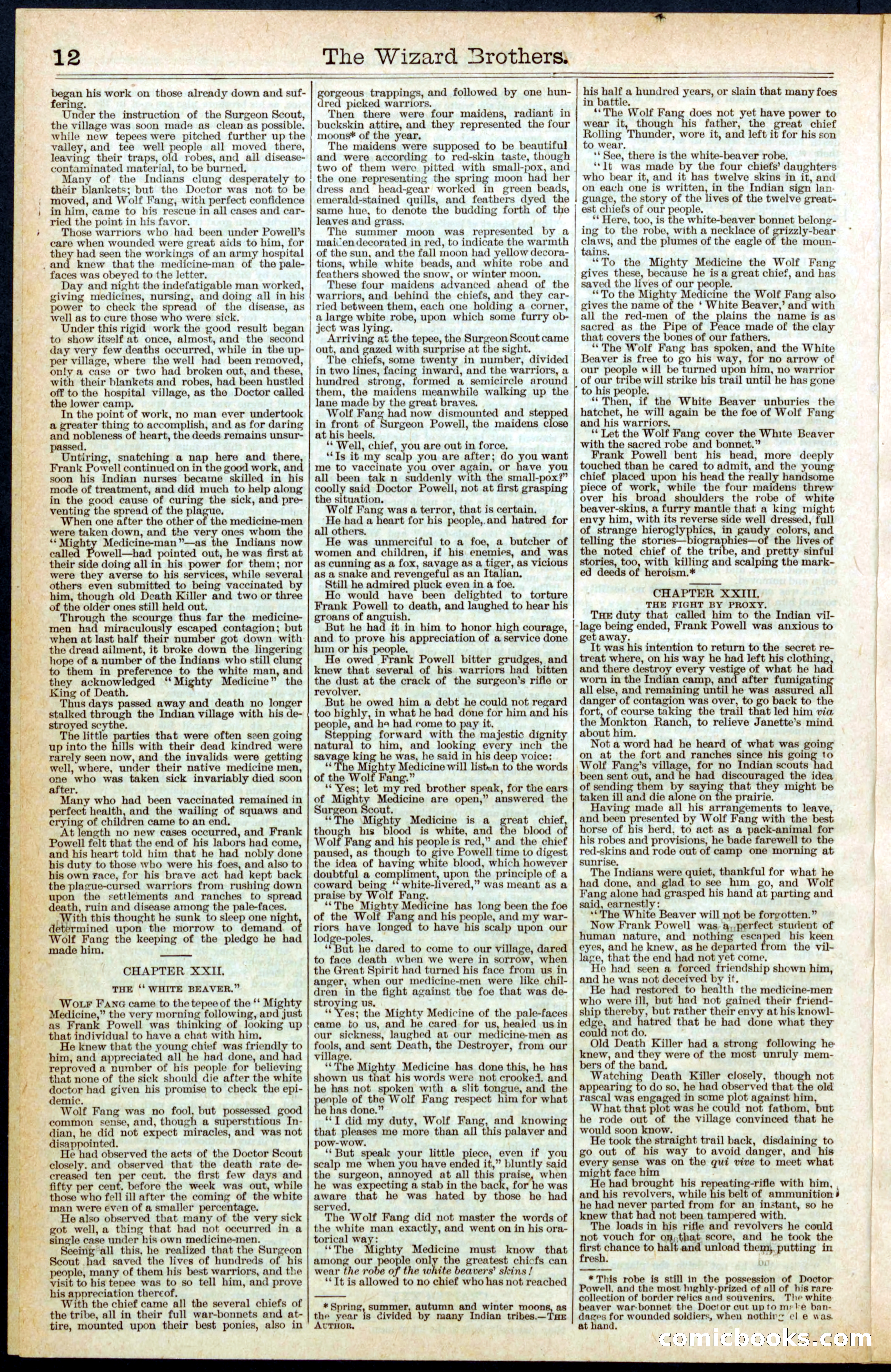 Beadle's New York Dime Library No. 397 — page 12 of 32