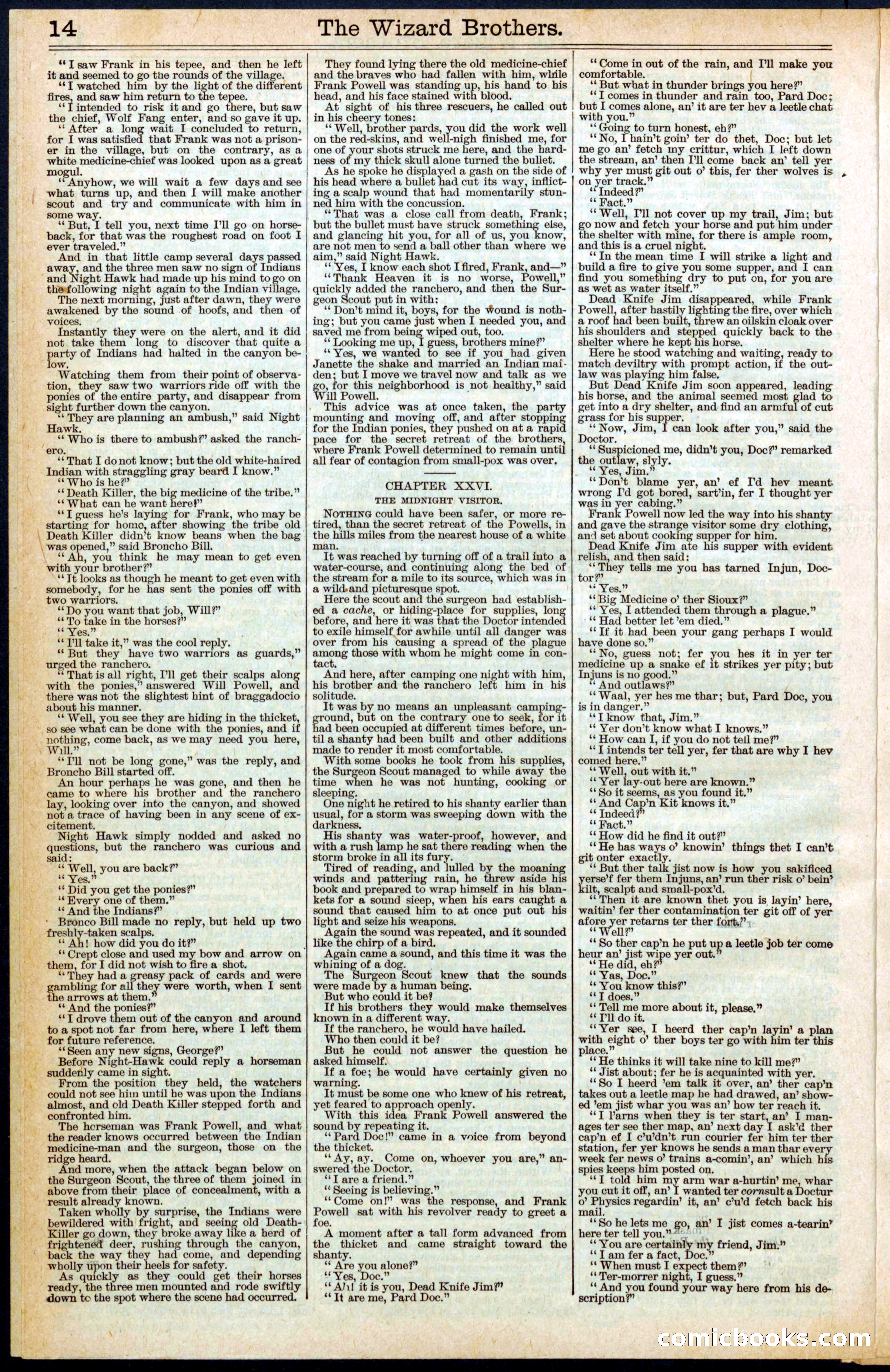 Beadle's New York Dime Library No. 397 — page 14 of 32
