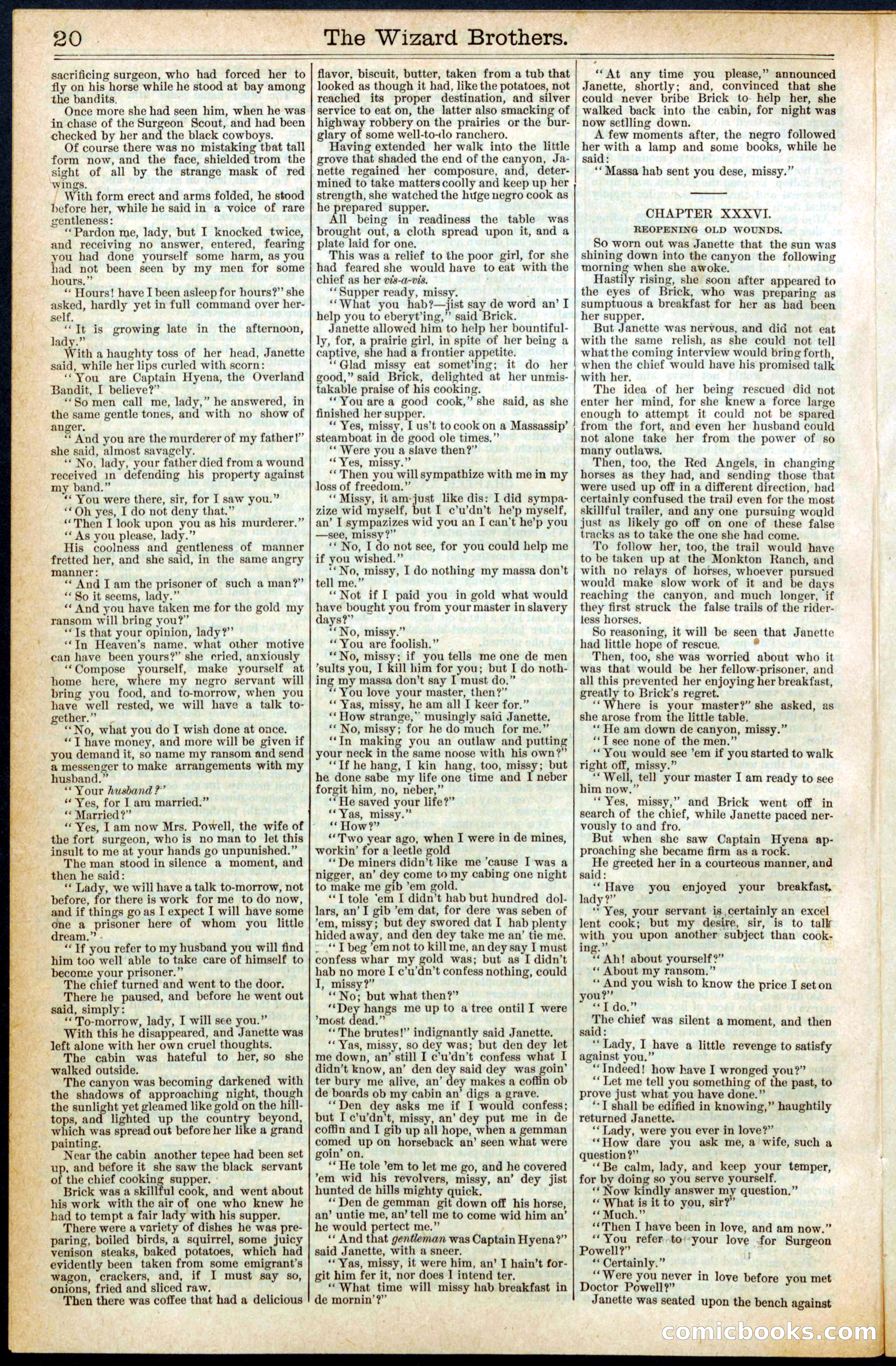 Beadle's New York Dime Library No. 397 — page 20 of 32