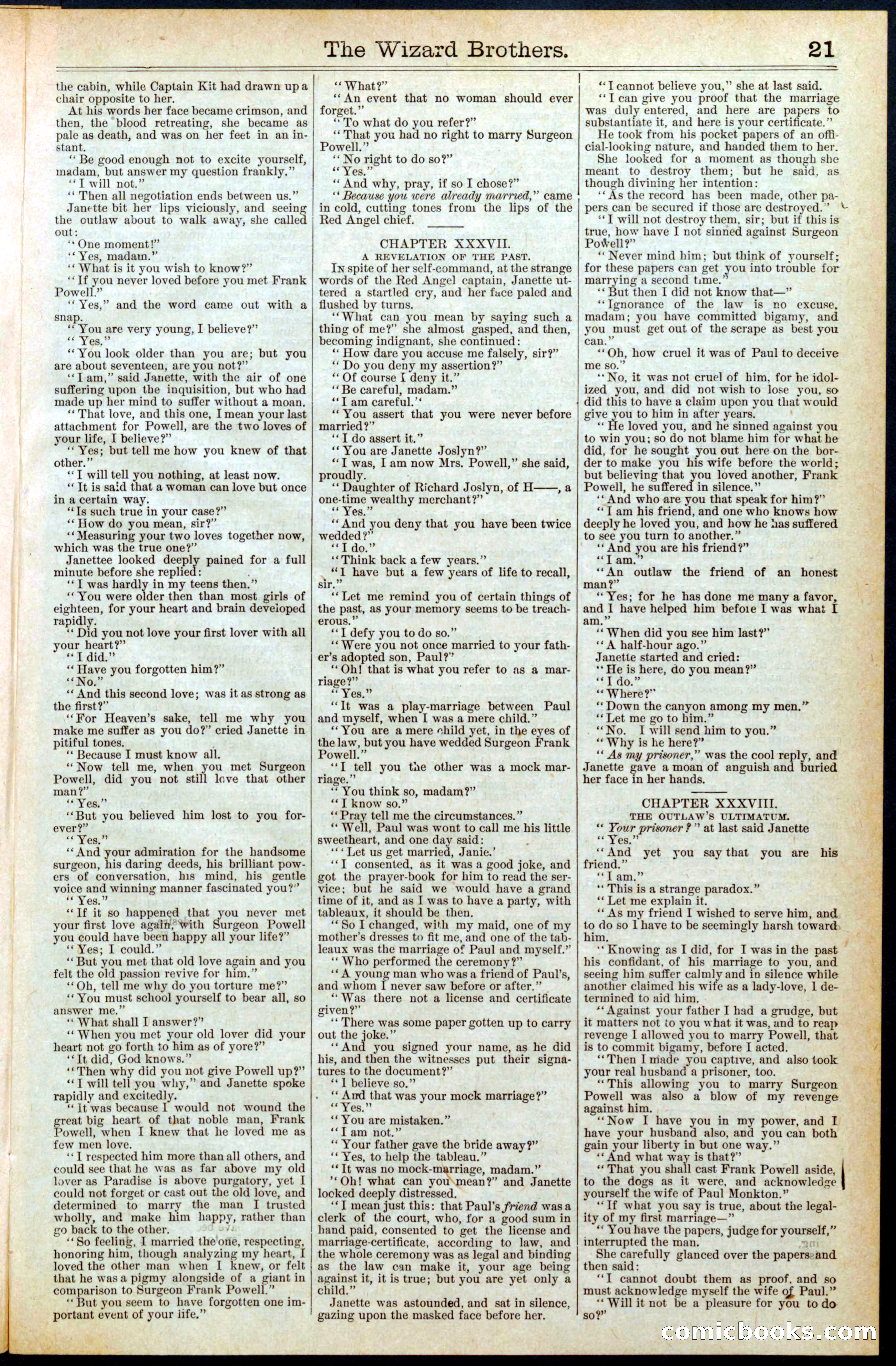 Beadle's New York Dime Library No. 397 — page 21 of 32