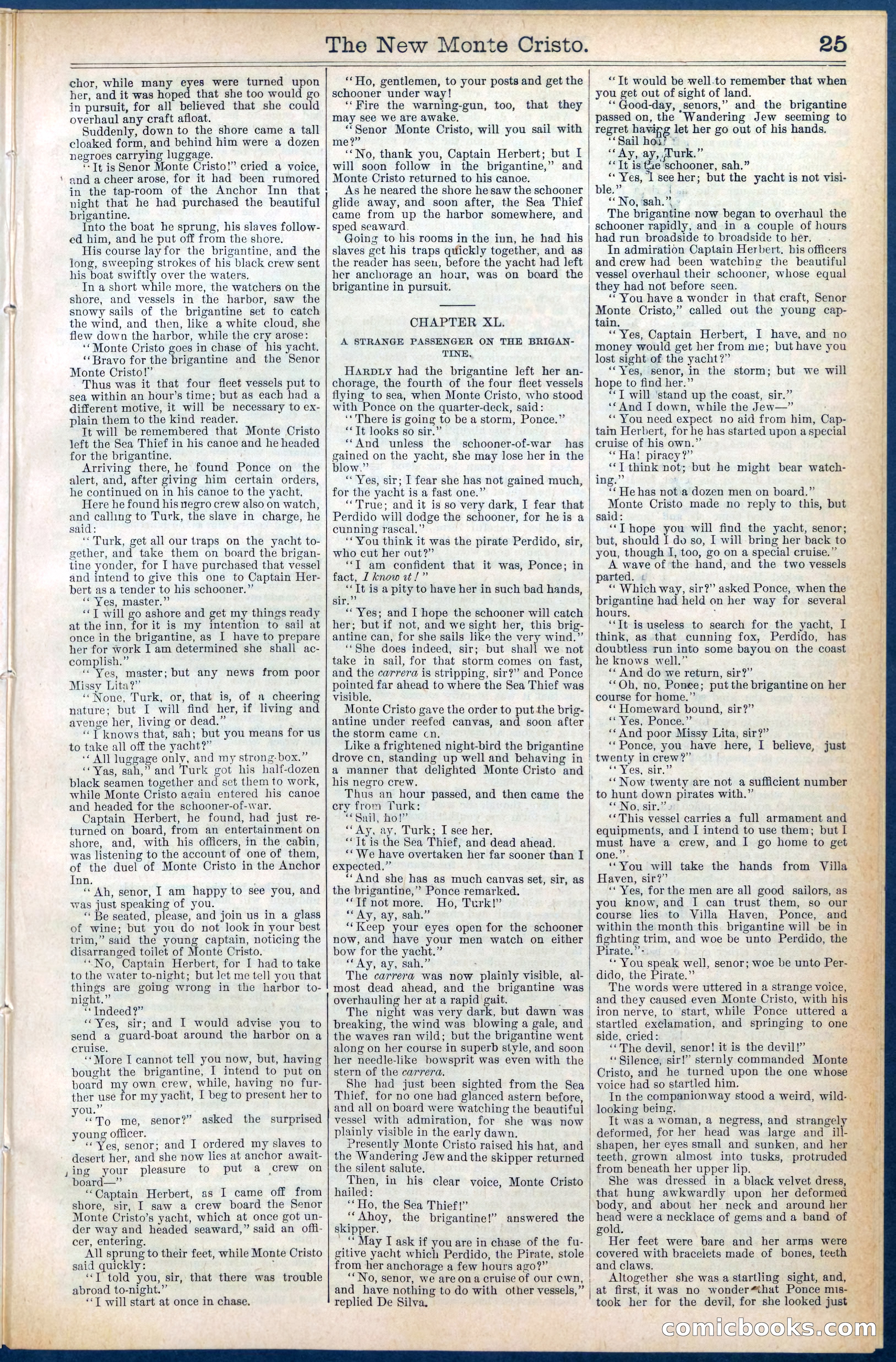 Beadle's Dime Library No. 399: The New Monte Cristo — page 25 of 32