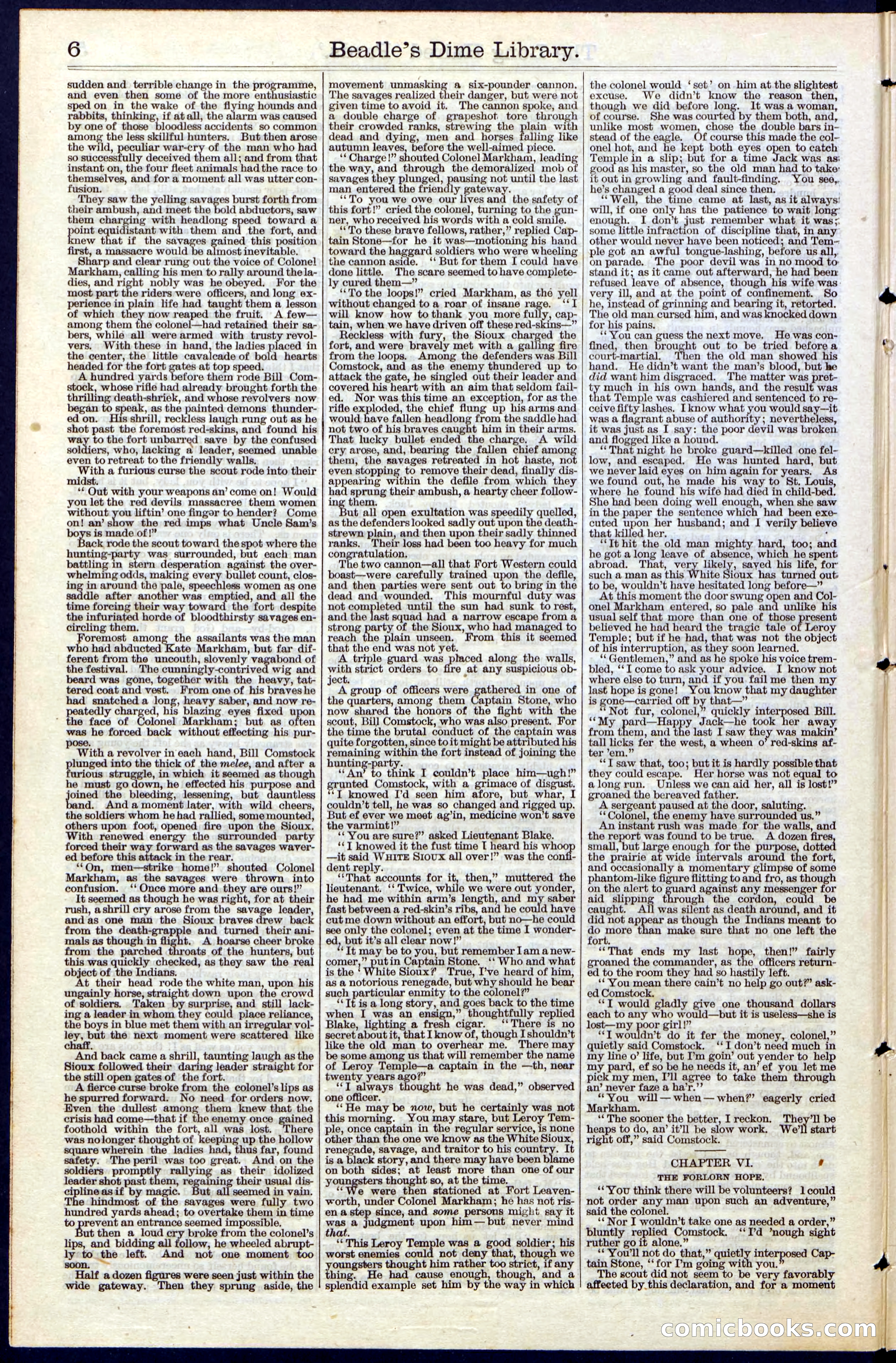 Beadle's New York Dime Library, No. 40 — page 6 of 32