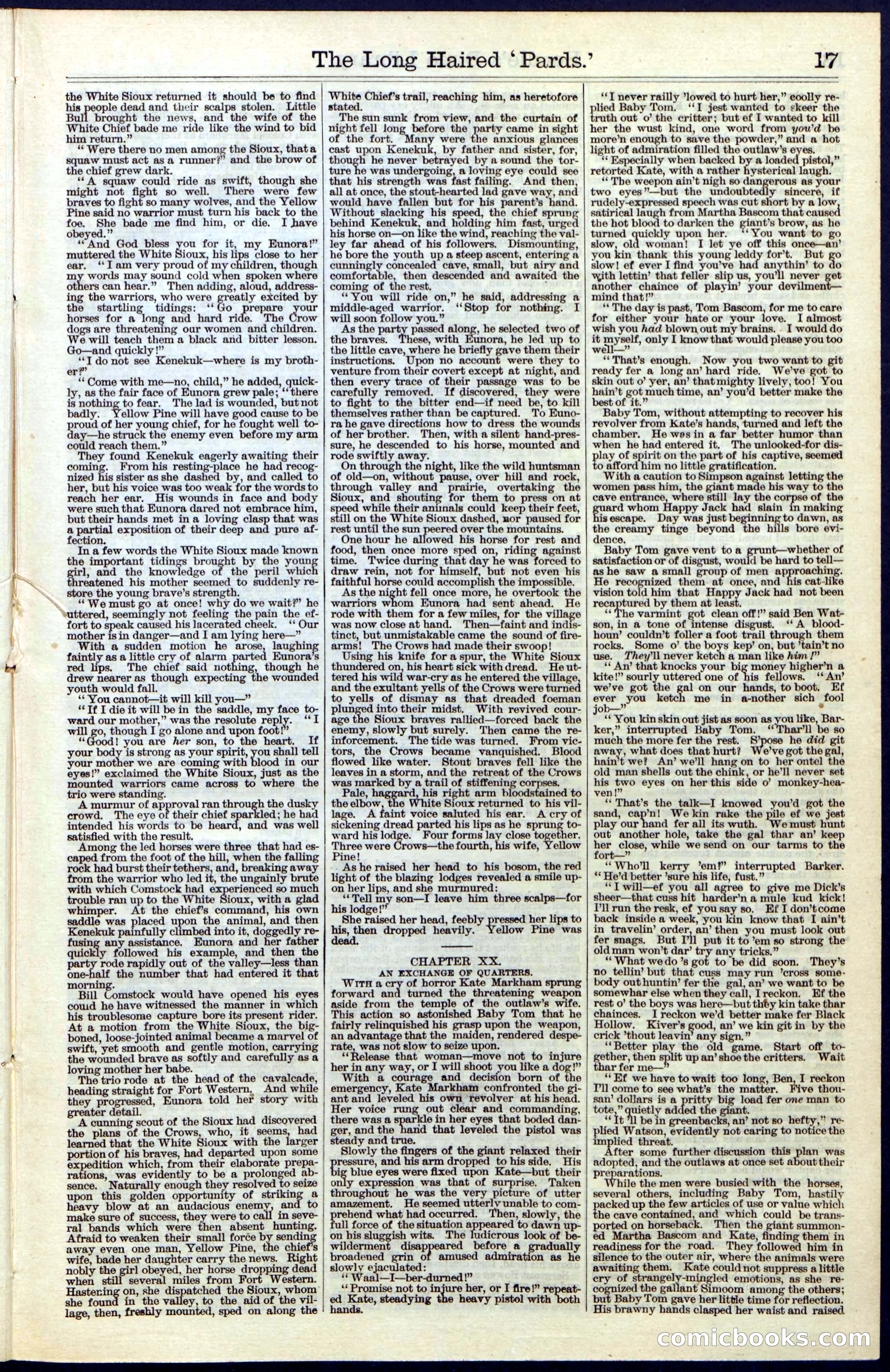 Beadle's New York Dime Library, No. 40 — page 17 of 32