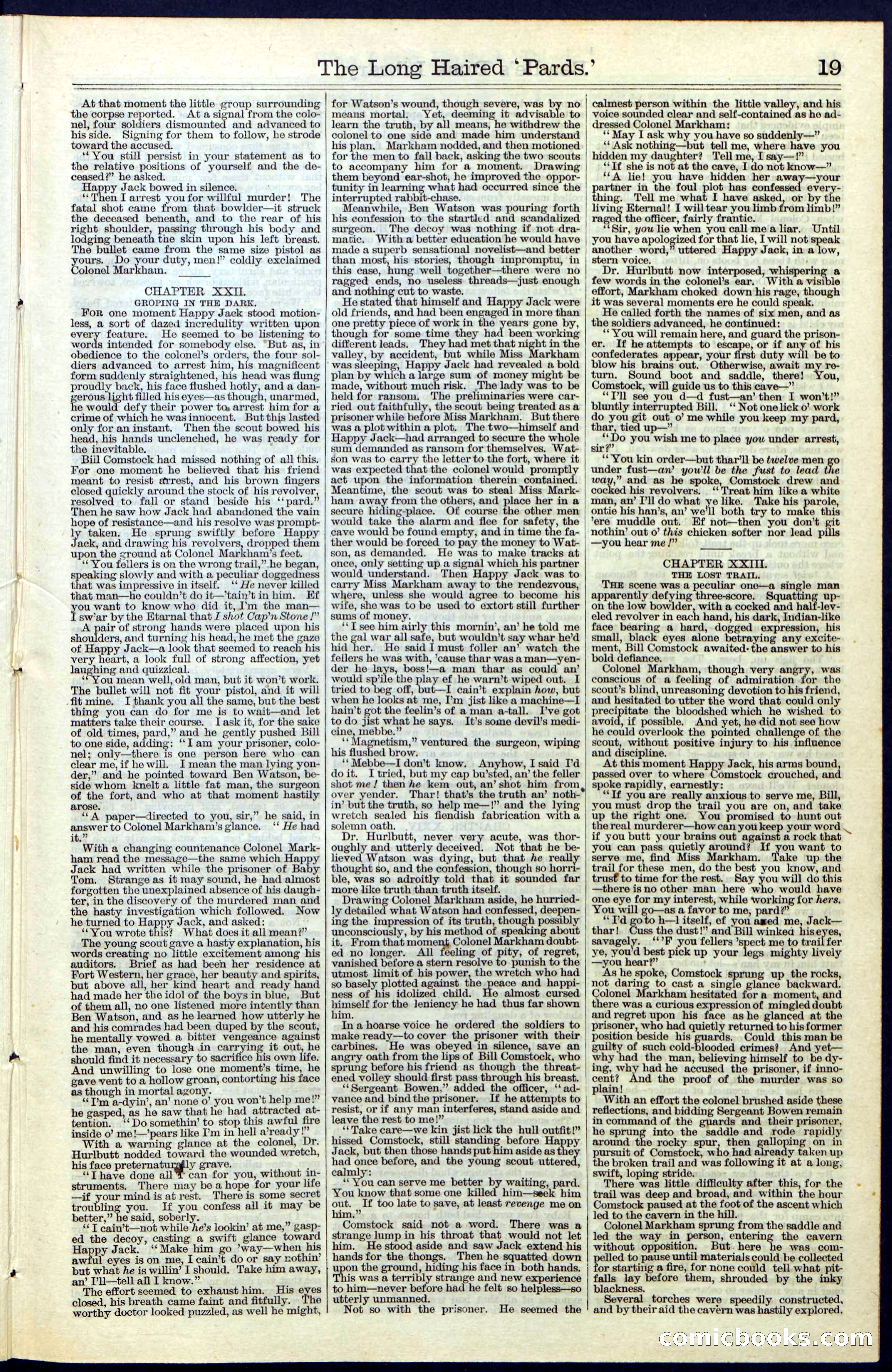 Beadle's New York Dime Library, No. 40 — page 19 of 32