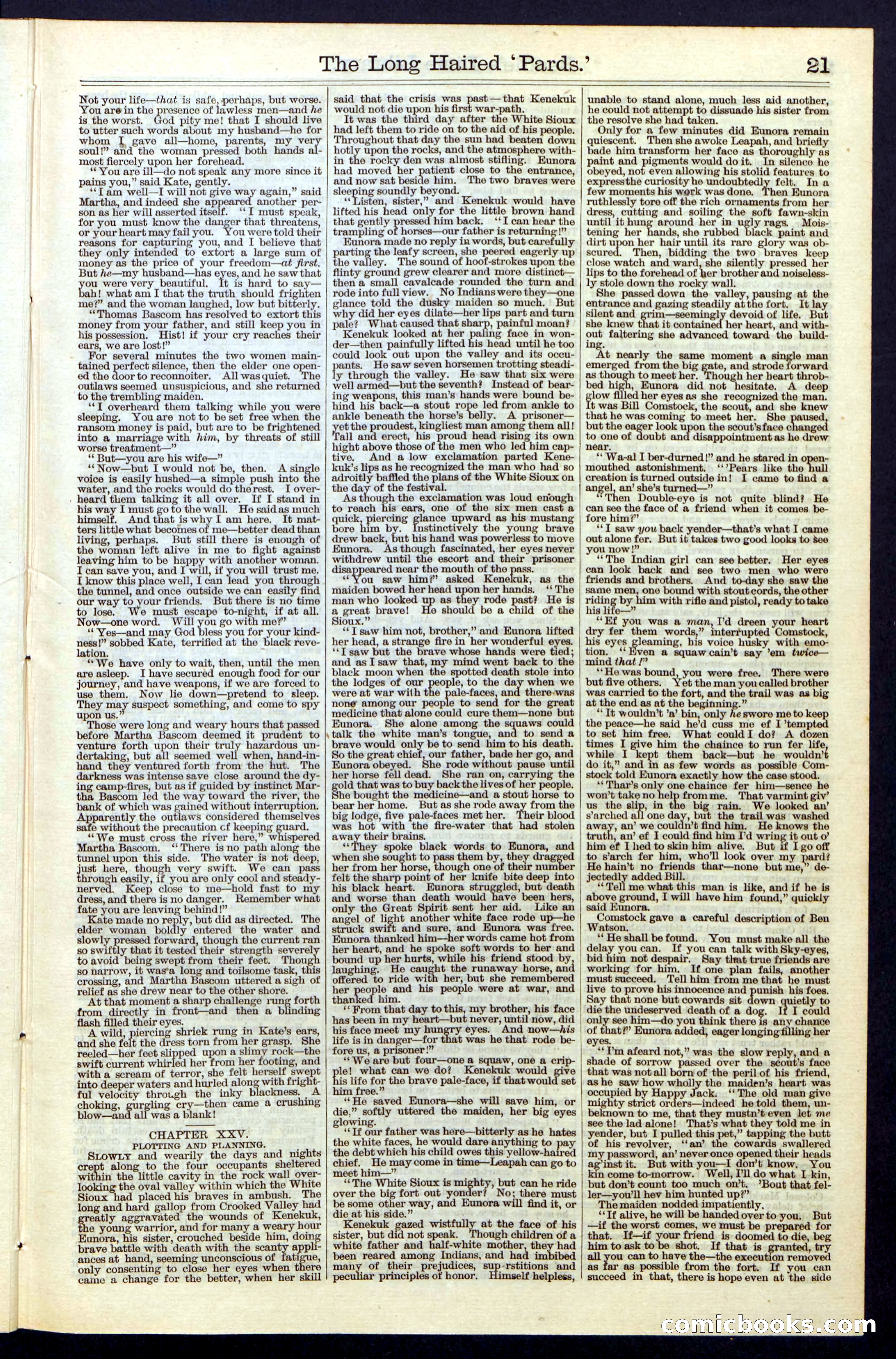Beadle's New York Dime Library, No. 40 — page 21 of 32