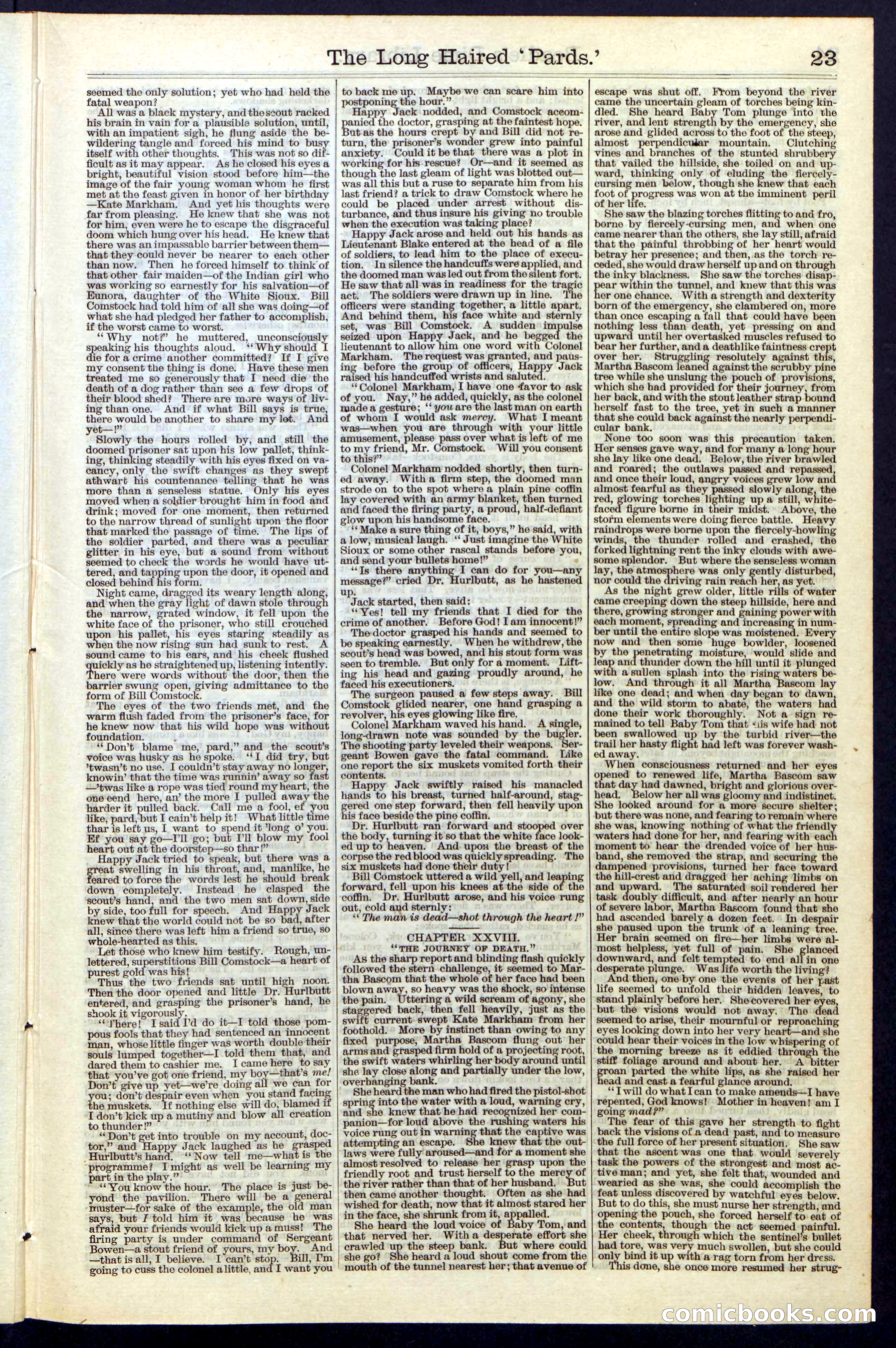 Beadle's New York Dime Library, No. 40 — page 23 of 32