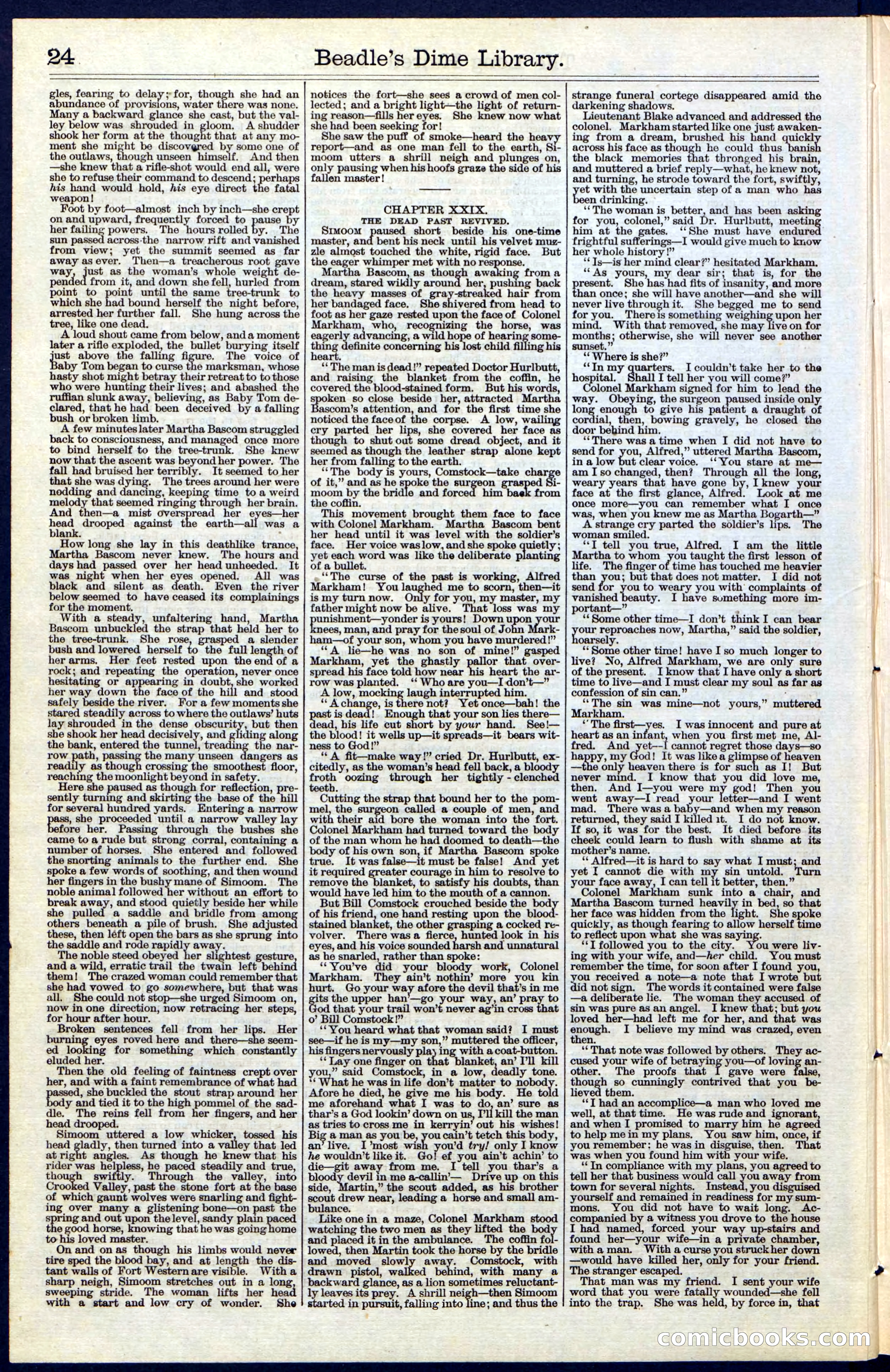 Beadle's New York Dime Library, No. 40 — page 24 of 32