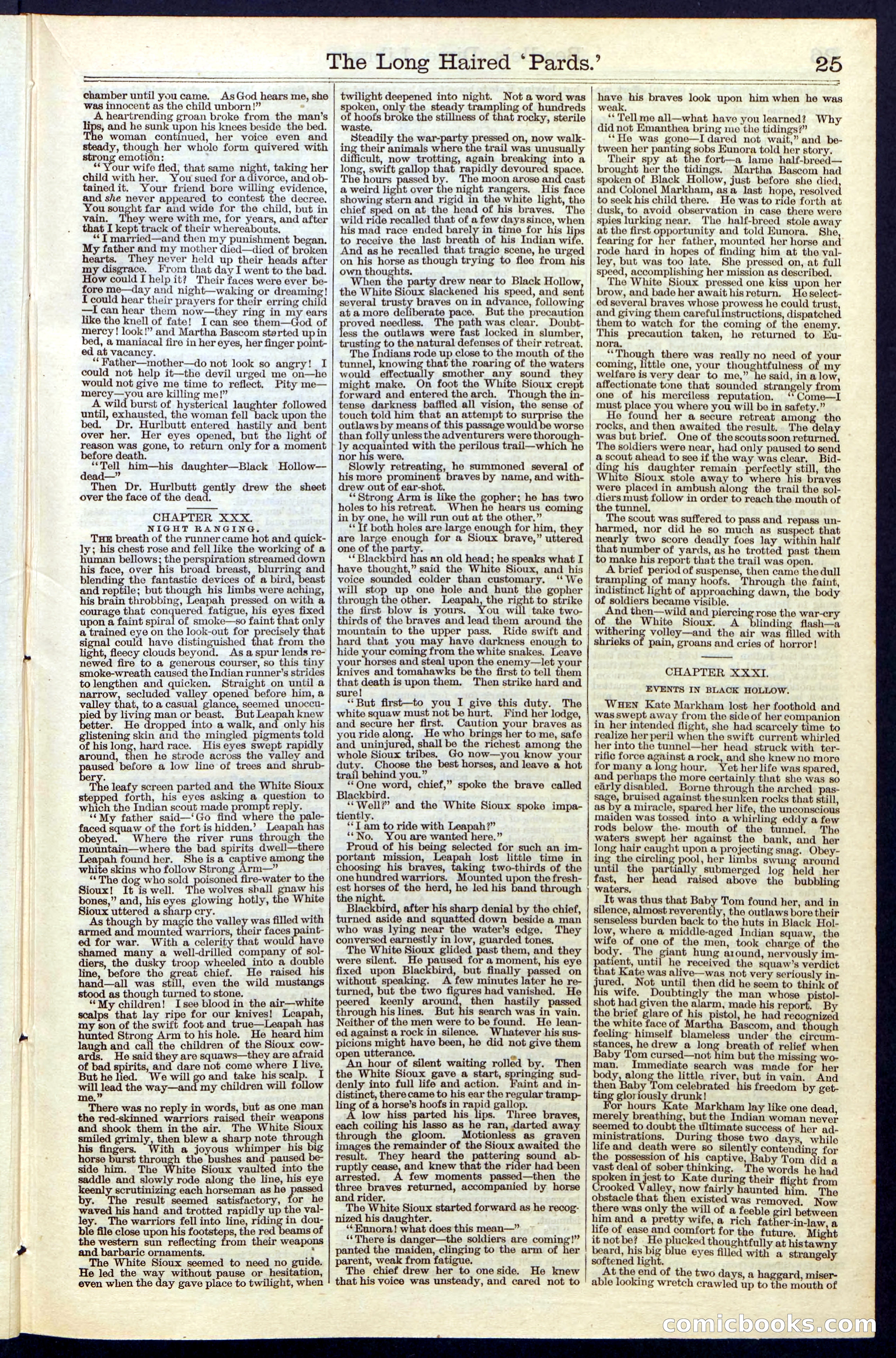 Beadle's New York Dime Library, No. 40 — page 25 of 32
