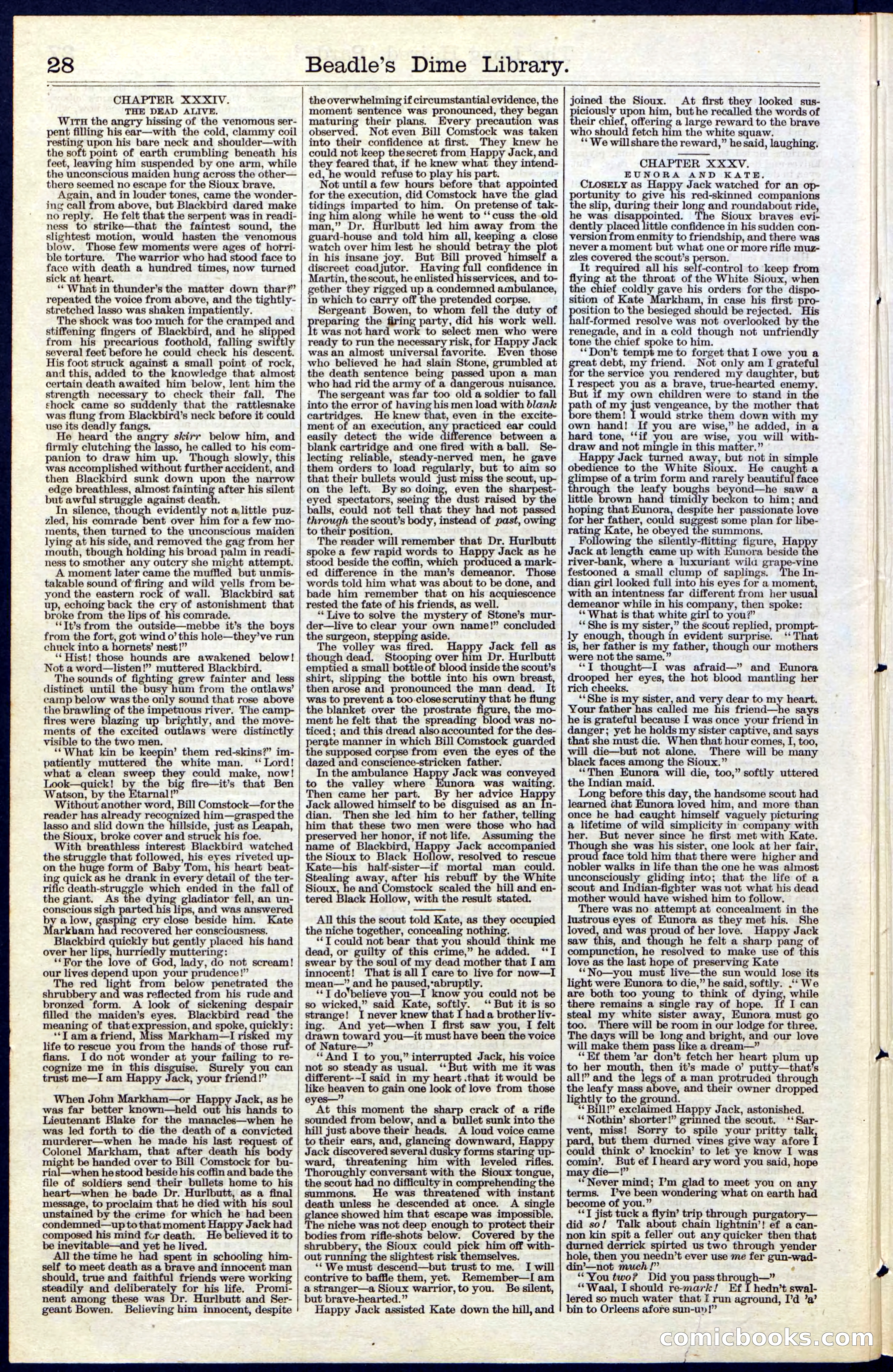 Beadle's New York Dime Library, No. 40 — page 28 of 32