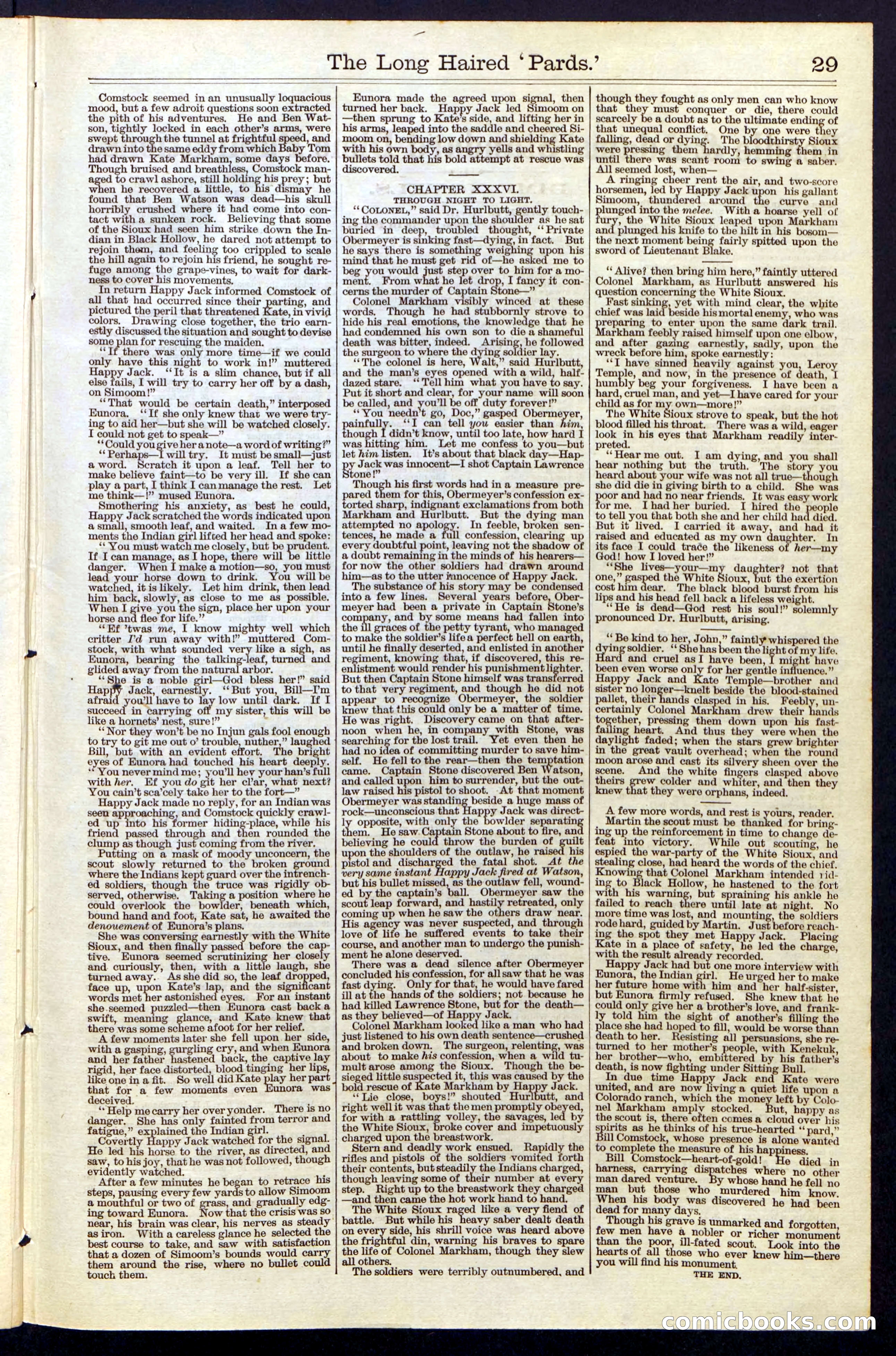 Beadle's New York Dime Library, No. 40 — page 29 of 32