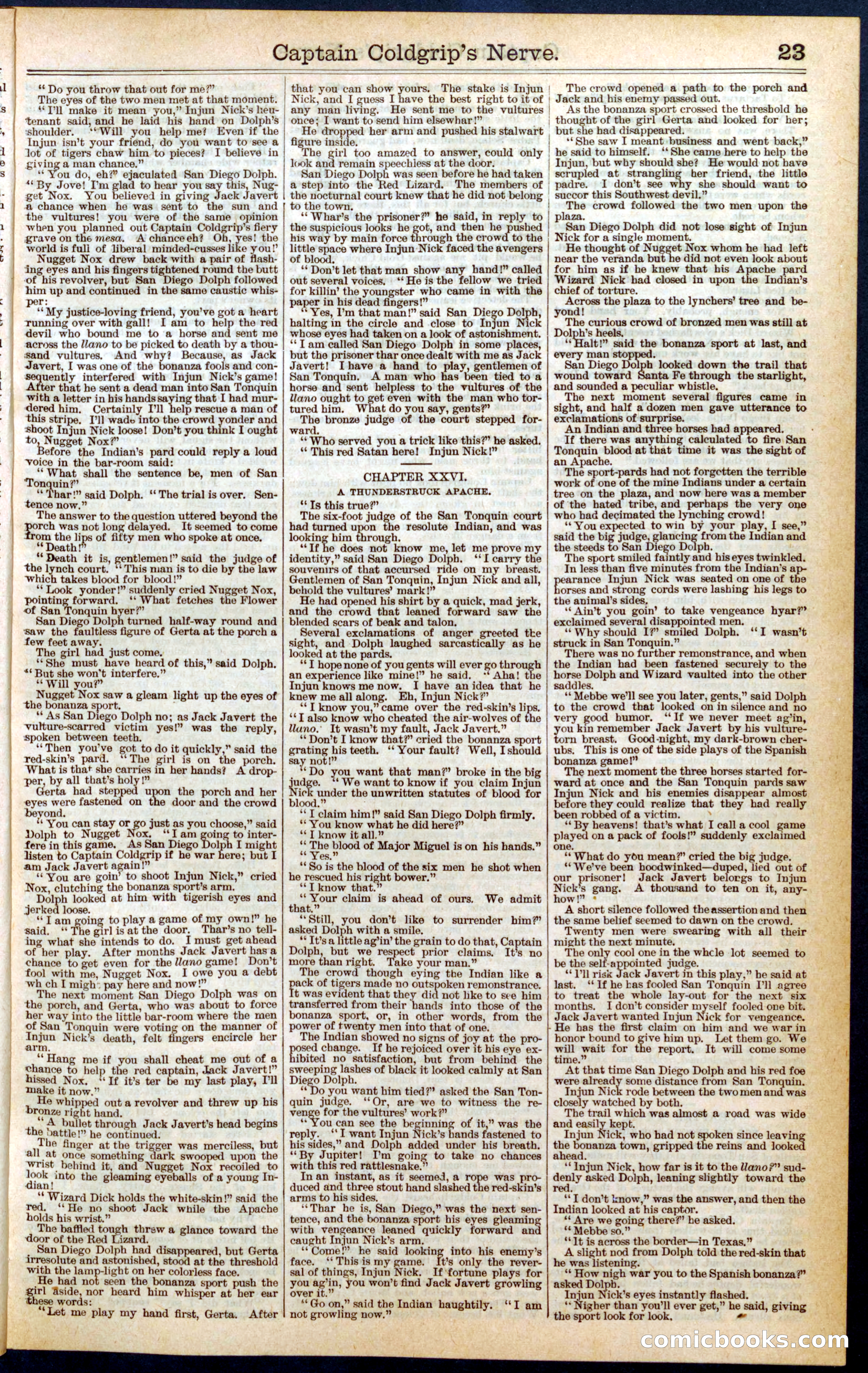 Beadle's Dime Library No. 407 — page 23 of 32
